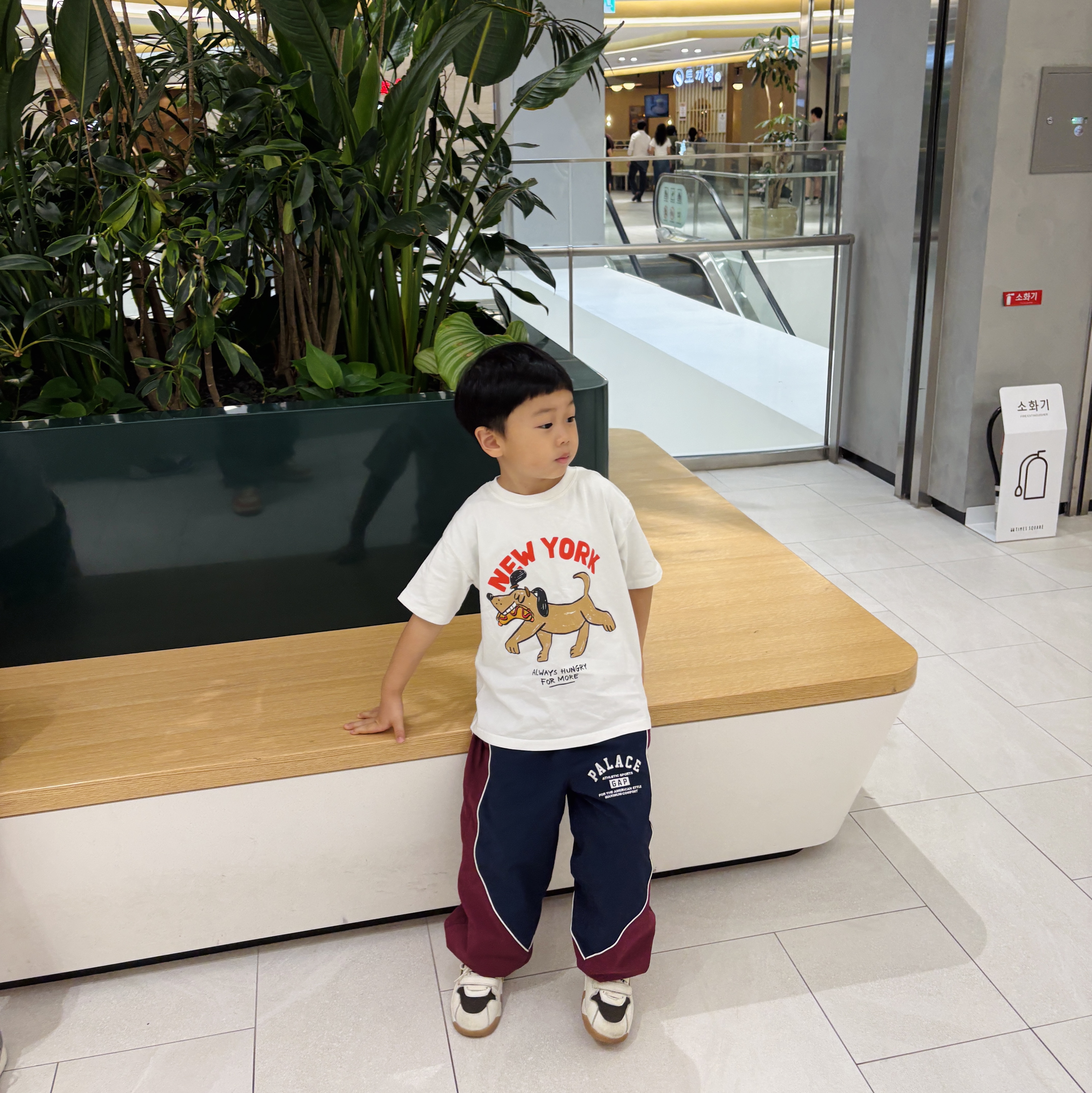 (Kids) Palace x Gap Nylon Track Bottom Navy Red - 24SS, (TD) Jordan x Travis Scott Jumpman Jack TR Sail and Dark Mocha 착용 스타일 - 1