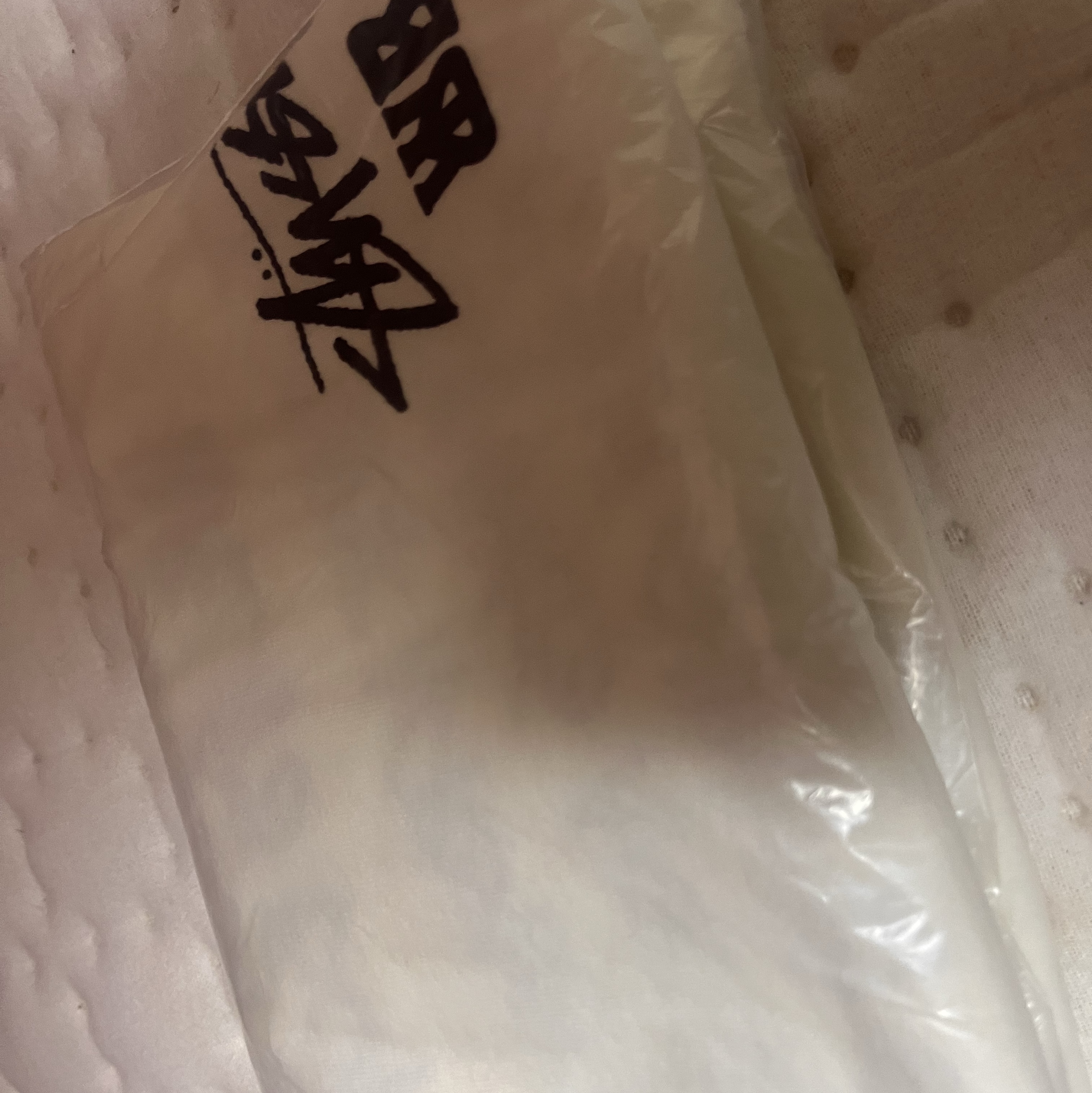 Stussy x Wales Bonner Ocean Song T-Shirt Ivory 착용 스타일