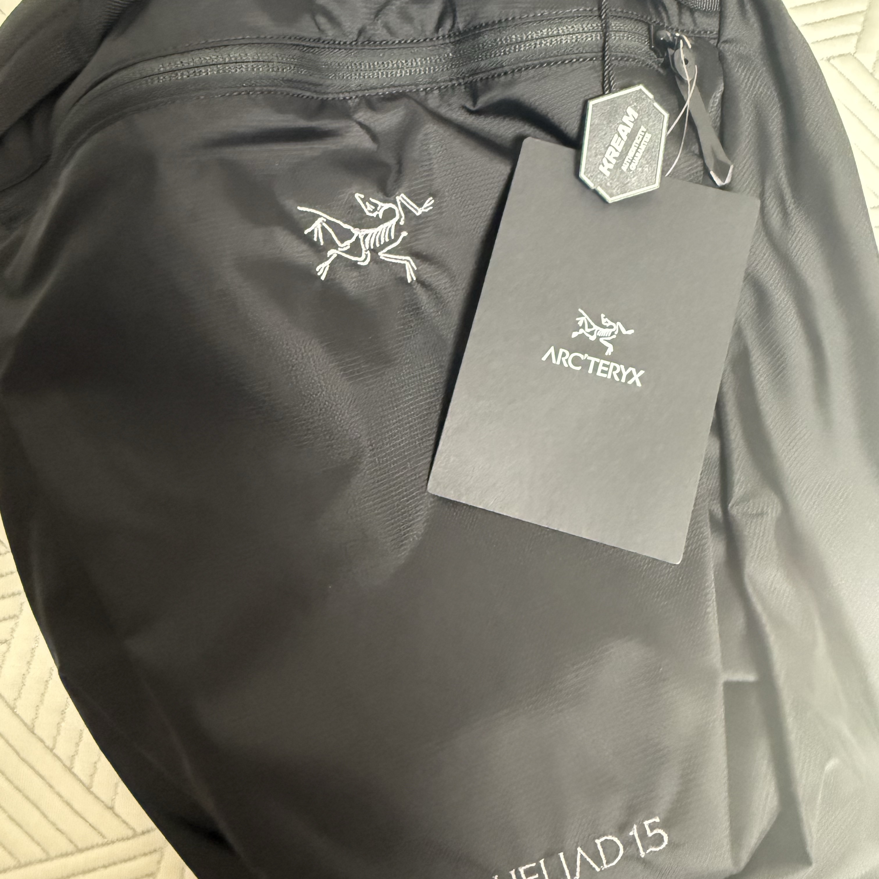 Arc'teryx Heliad 15 Backpack Black 착용 스타일