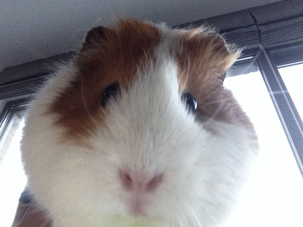 관심 유저 프로필 이미지