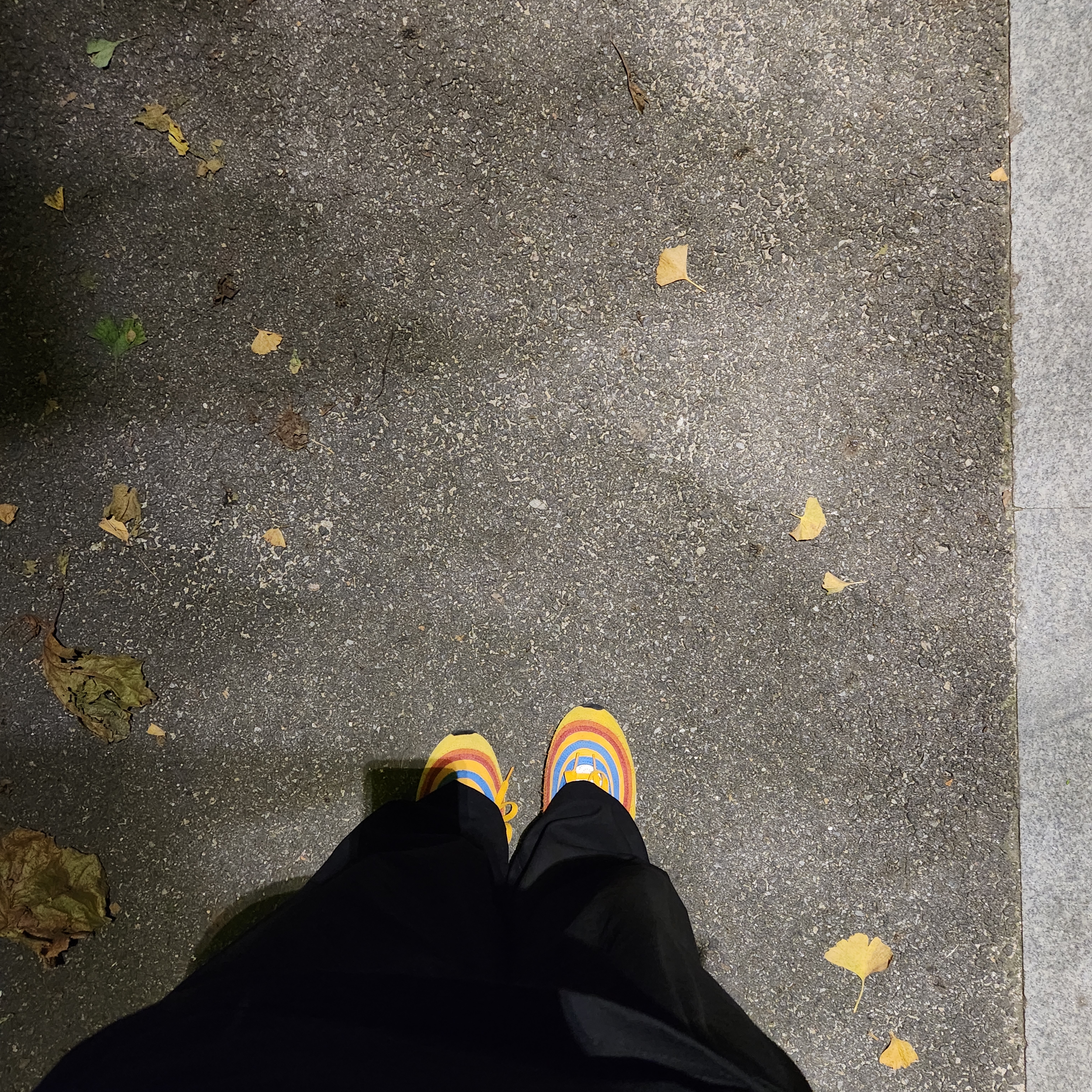 Nike Air Max 97 SE Air Max Running Club Pollen Orange 착용 스타일