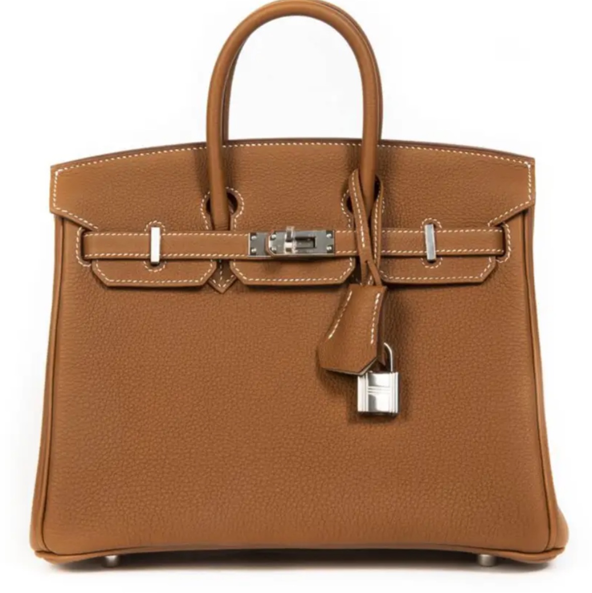 Hermes Birkin 25 Bag Togo & Palladium Gold 착용 스타일