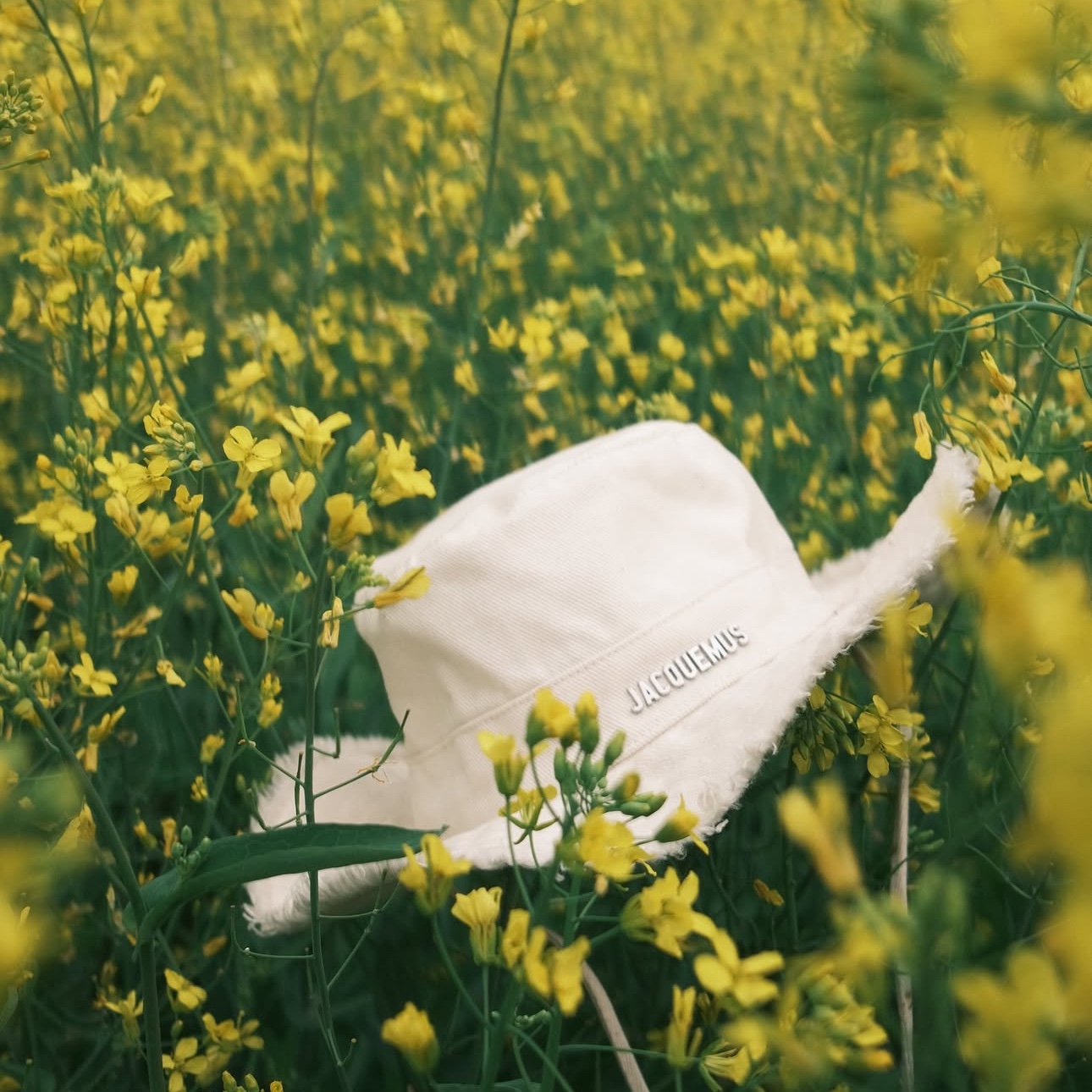 Jacquemus Le Bob Artichaut Bucket Hat Off White 착용 스타일