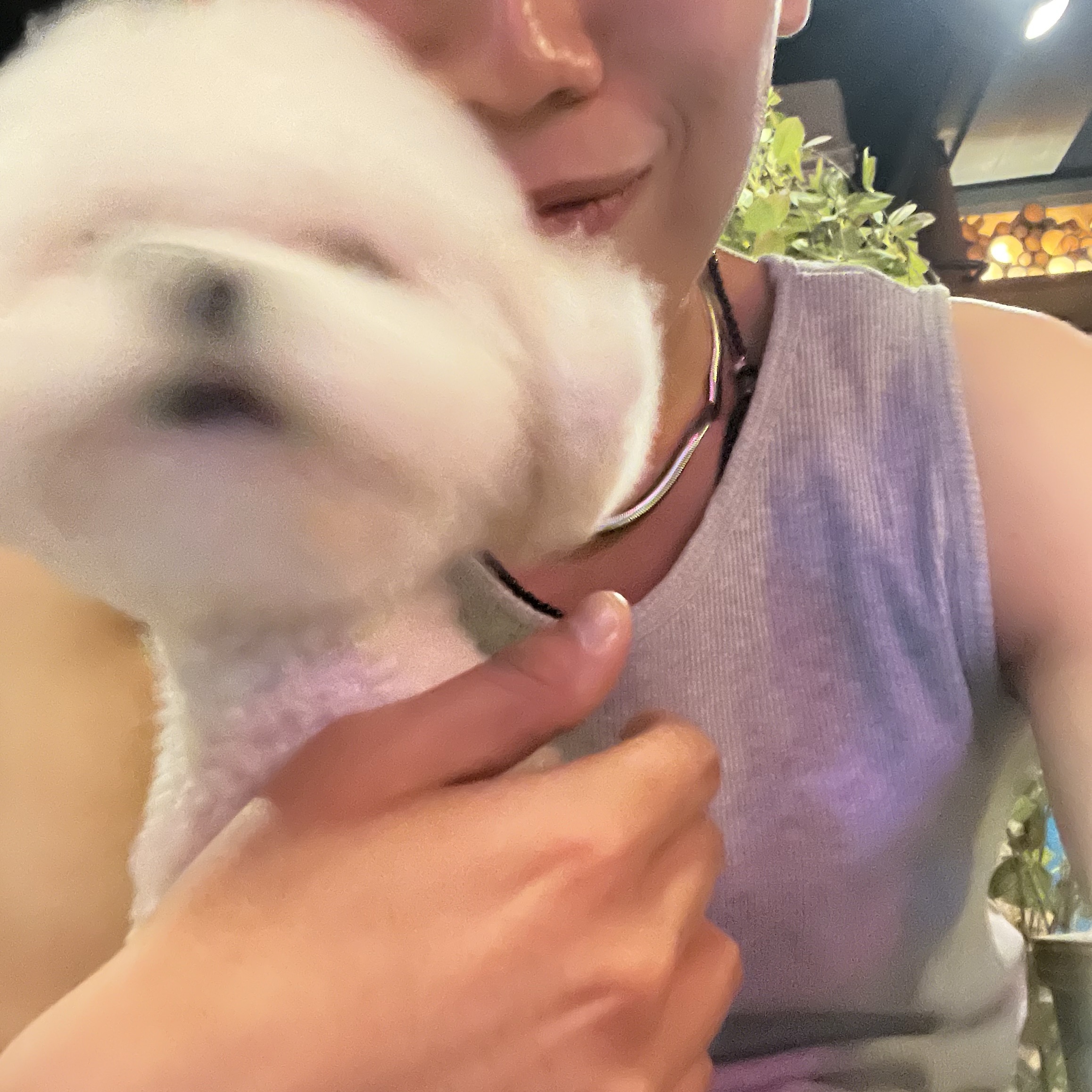 Ken님의 스타일 - 2