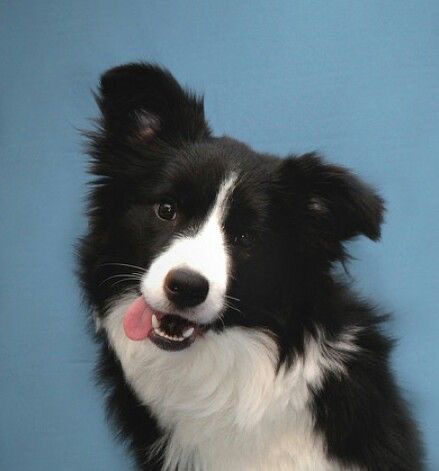 관심 유저 프로필 이미지