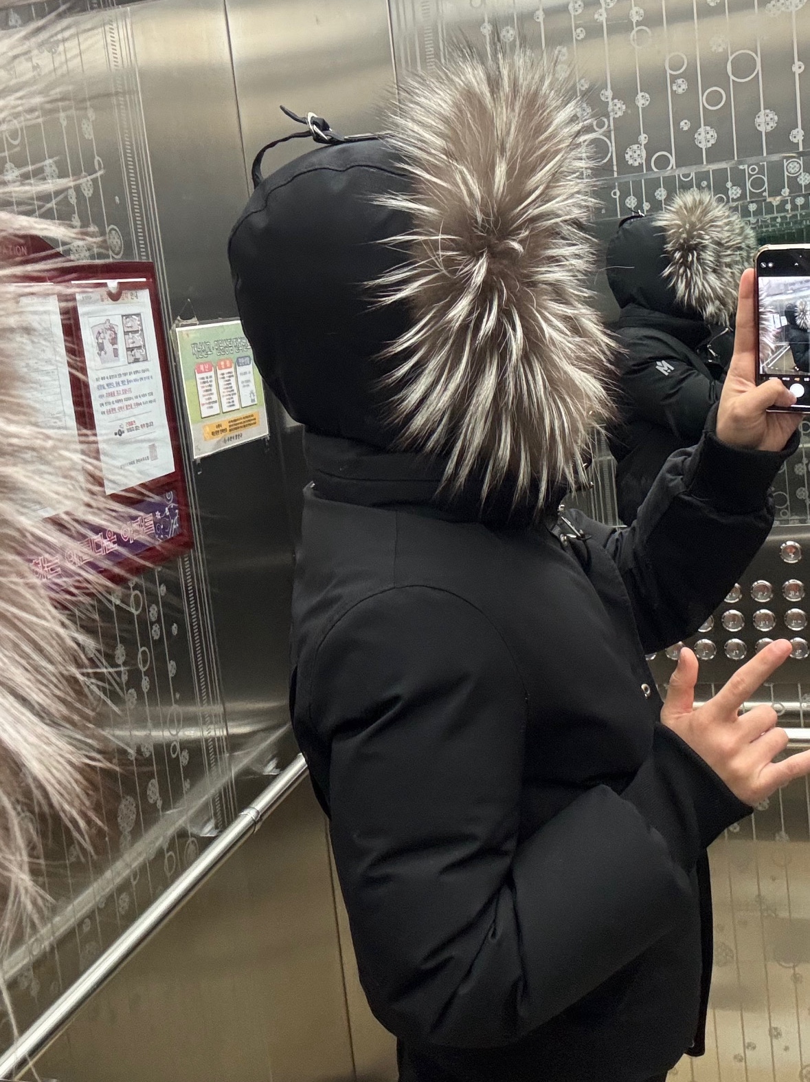 Mackage Dixon 2-In-1 Nordic Tech Down Bomber with Silver Fox Fur Black Silver, Apple AirPods Max Lightning Silver (Korean Ver.) 착용 스타일 - 3
