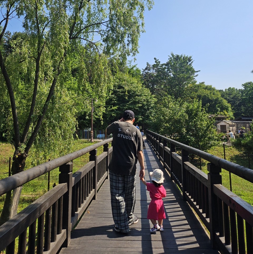 IAB Studio x Obey Icon Heavyweight Box T-Shirt Digital Black, New Balance 990v6 Made in USA Black White 착용 스타일