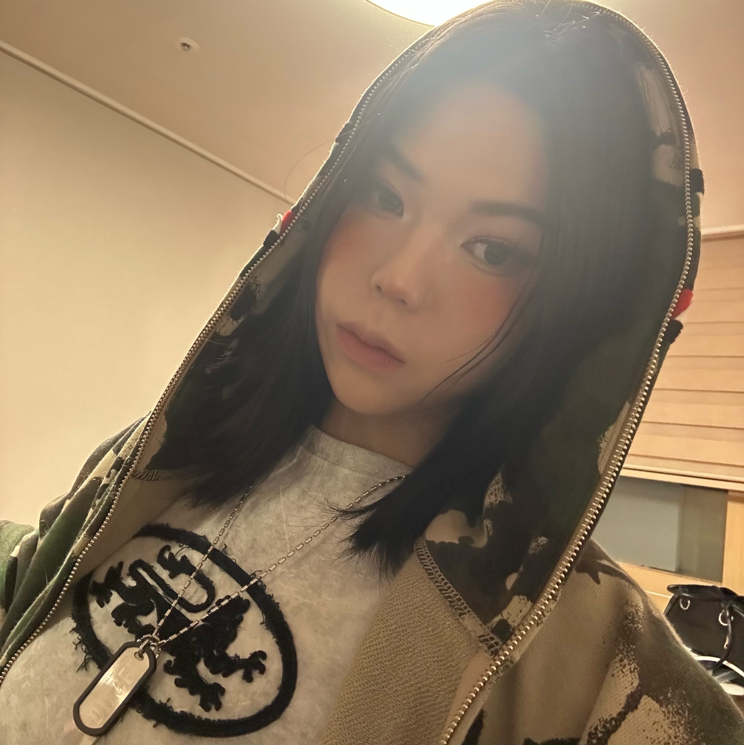 BAPE Map Camo Shark Relaxed Fit Full Zip Hoodie Green, Diesel Dx0011 Stainless Steel Double Dog Tag Necklace Silver 착용 스타일 - 2