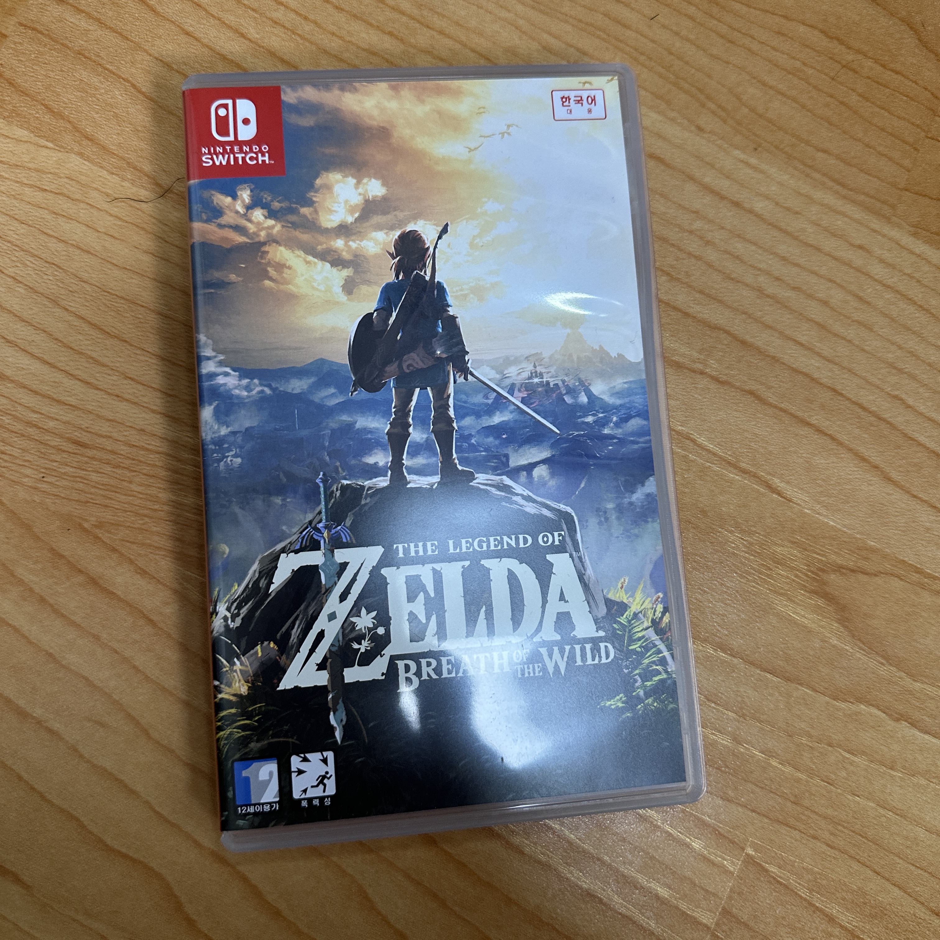 Nintendo Switch Legend of Zelda Breathe of the Wild 착용 스타일