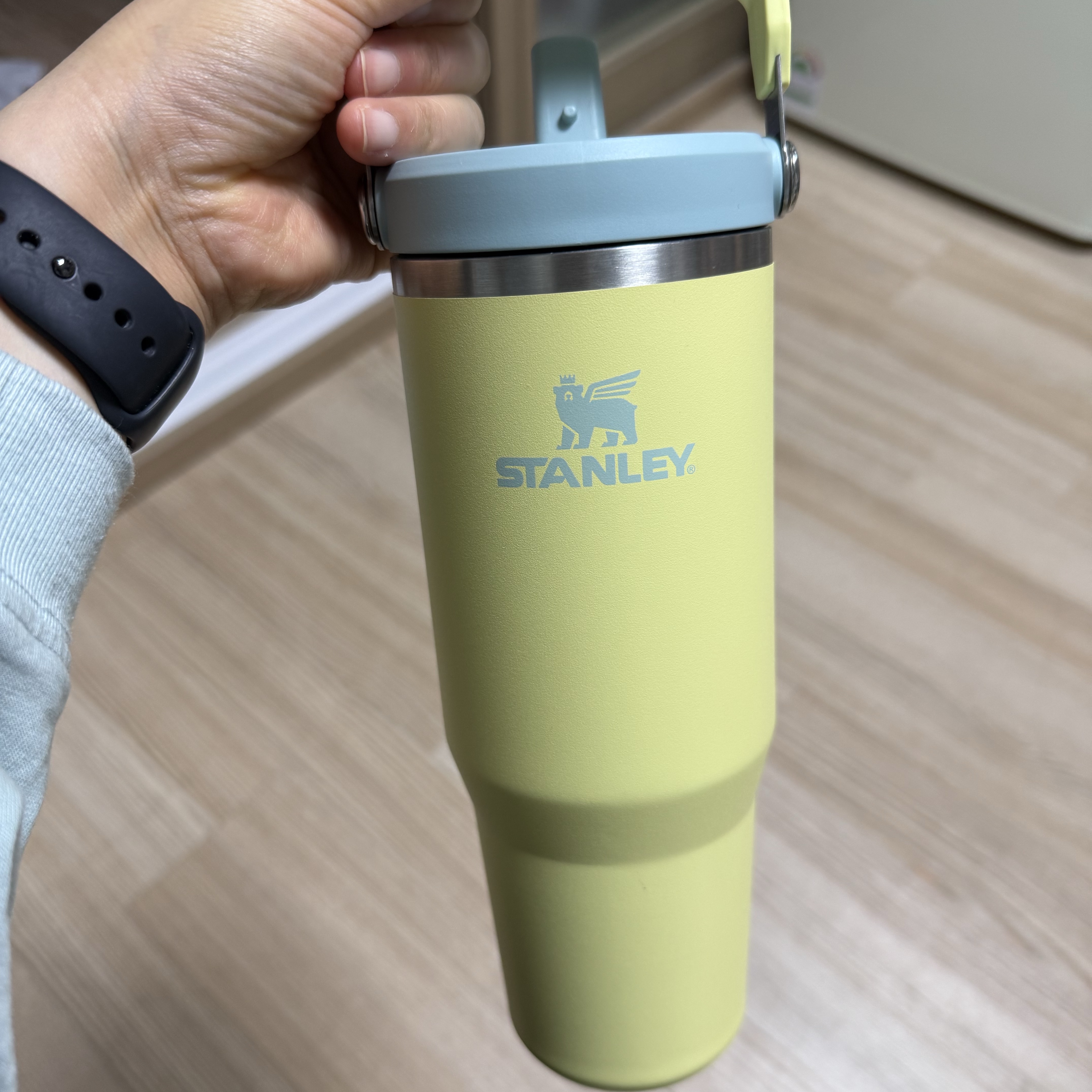 Stanley The IceFlow Flip Straw 2.0 Tumbler 887ml Pomelo 착용 스타일
