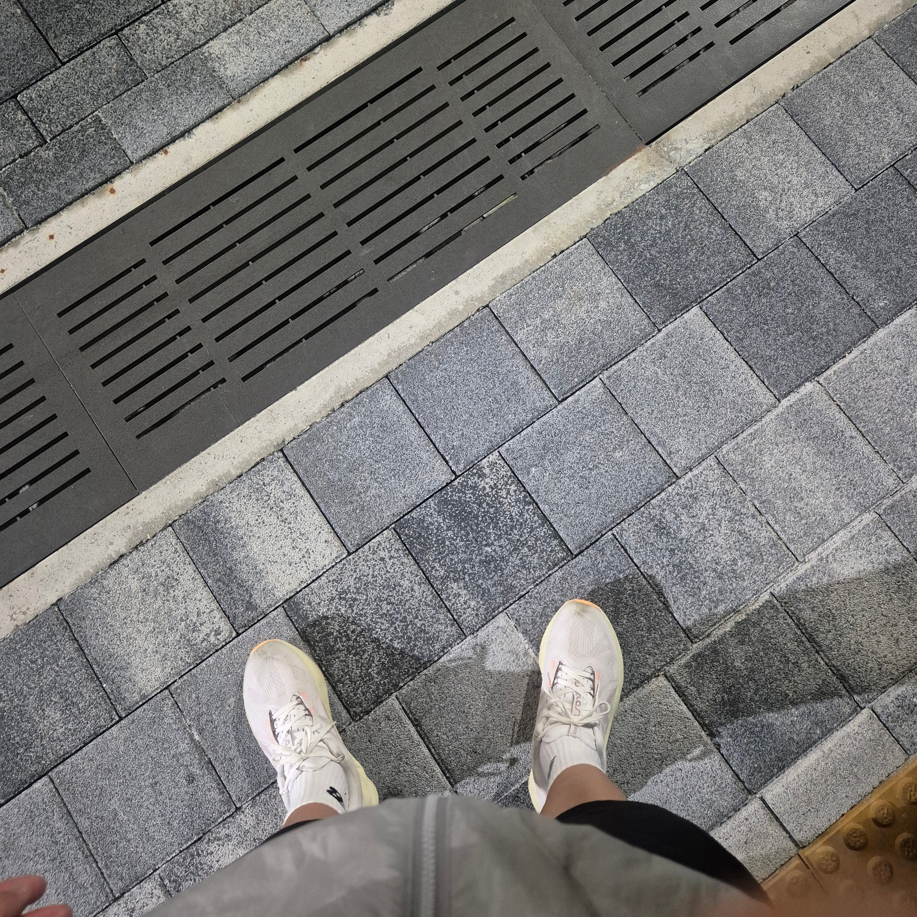 Asics Novablast 5 White Fawn 착용 스타일