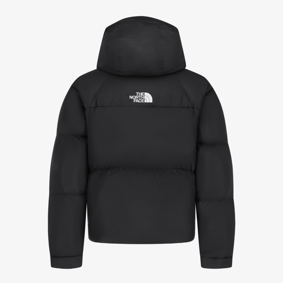 The North Face White Label Project Down Jacket RDS Black - 25FW 착용 스타일 - 2