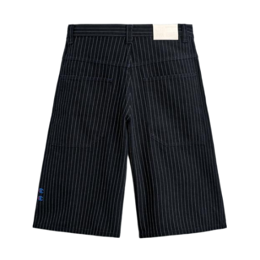자라 x 챔피온 스트라이프 배기 핏 쇼츠 블루(Zara x Champion Striped Baggy Fit Shorts Blue) - 2
