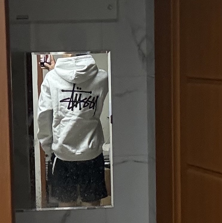 Stussy Basic Stussy Zip Hoodie Ash Heather 착용 스타일