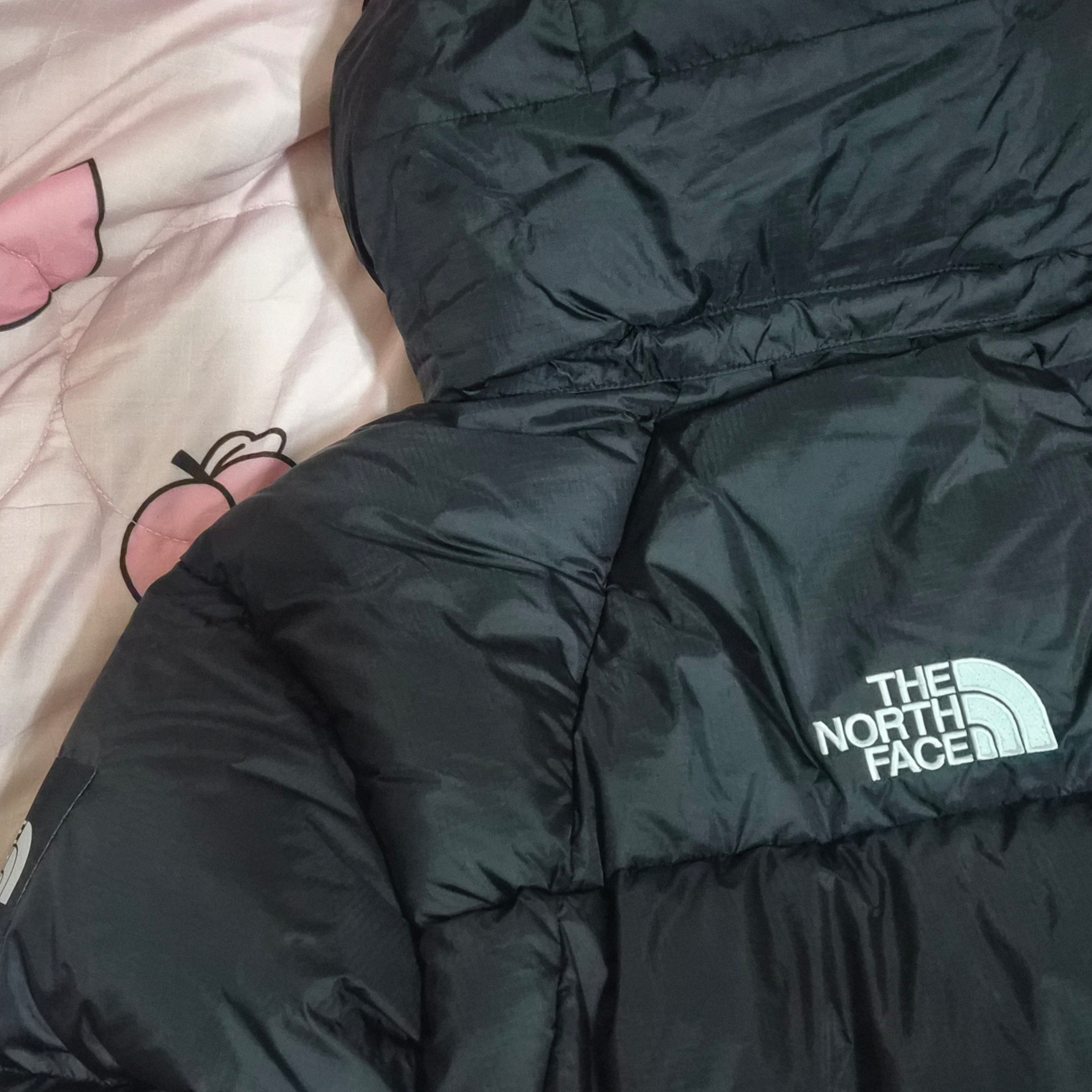 The North Face White Label Project Down Jacket RDS Black - 25FW 착용 스타일 - 2