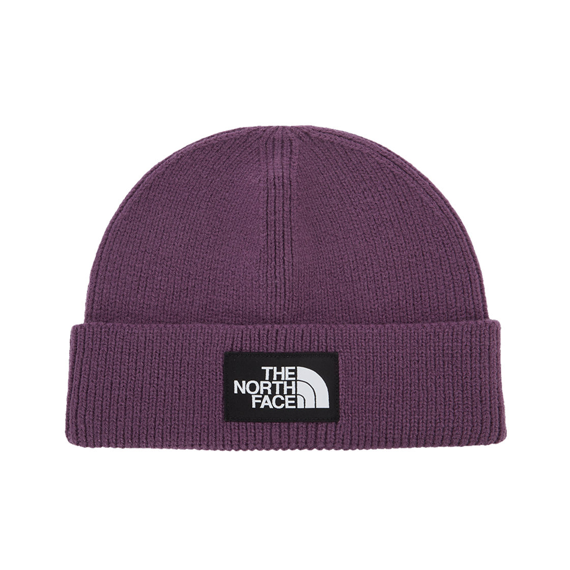 NE3BR61C The North Face Big Logo Beanie Deep Purple - 25FW