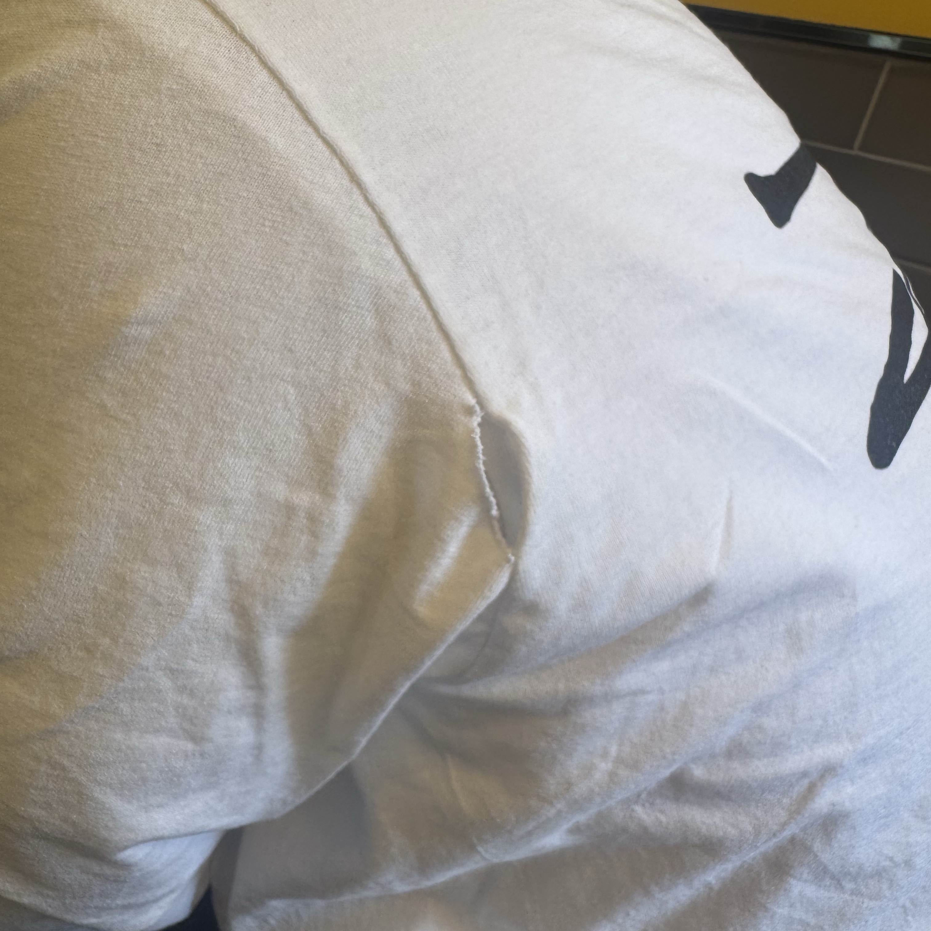 Stussy Basic Stussy LS T-Shirt White 착용 스타일