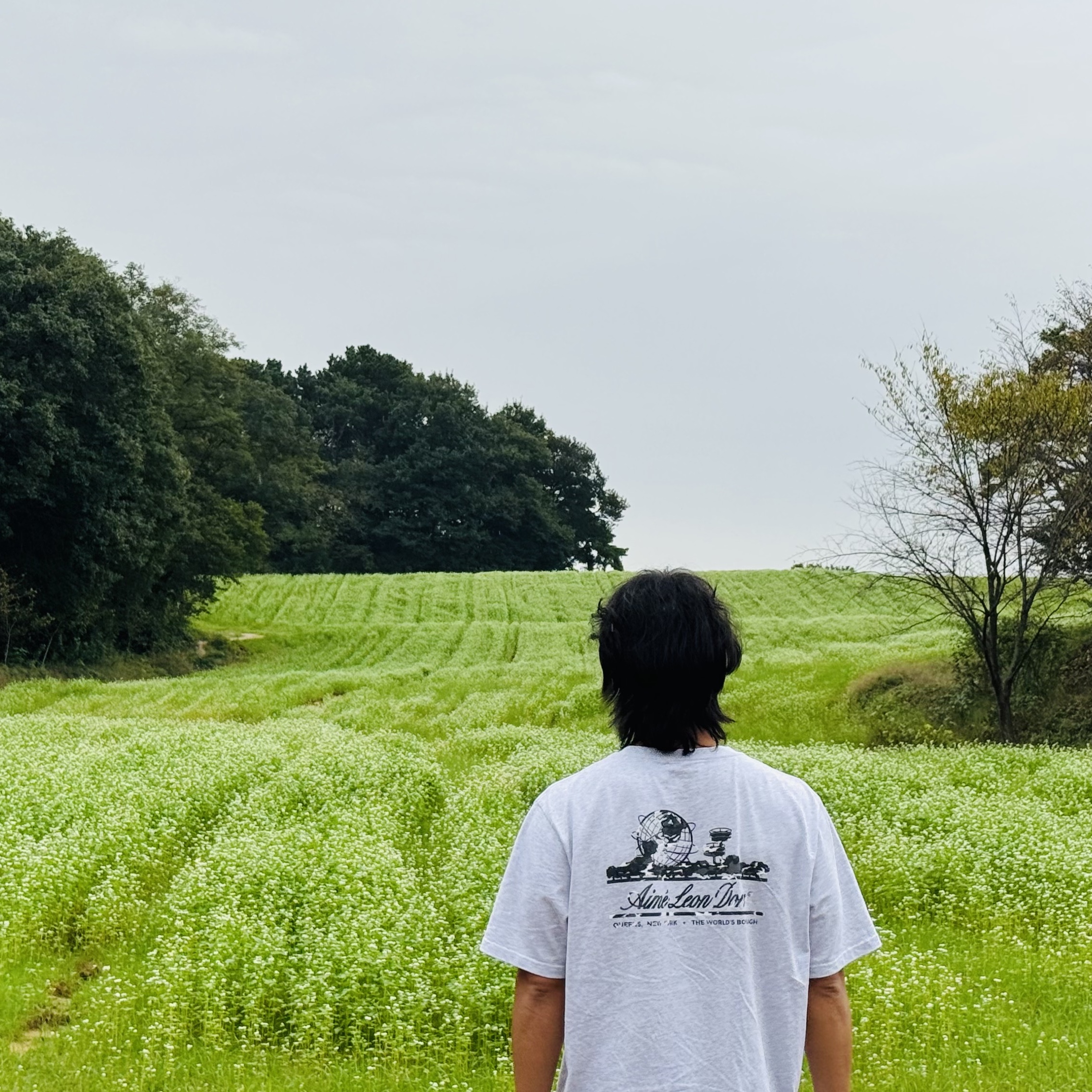 Aime Leon Dore Unisphere Short Sleeve T-Shirt Cream 착용 스타일