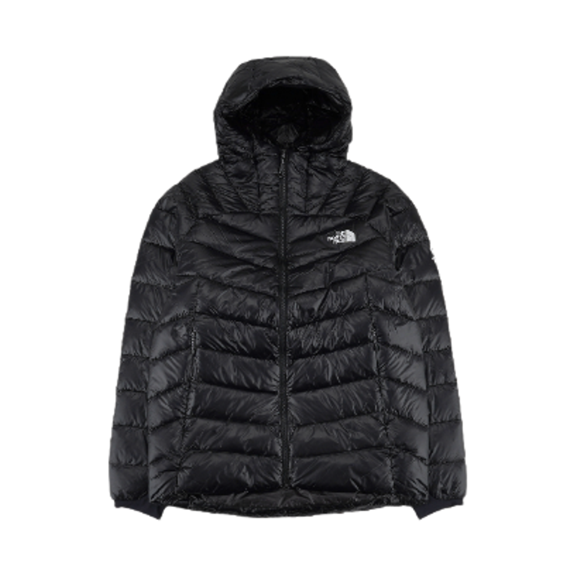 노스페이스 써밋 마테호른 RDS 다운 자켓 블랙(The North Face Summit Mattehorn RDS Down Jacket Black)