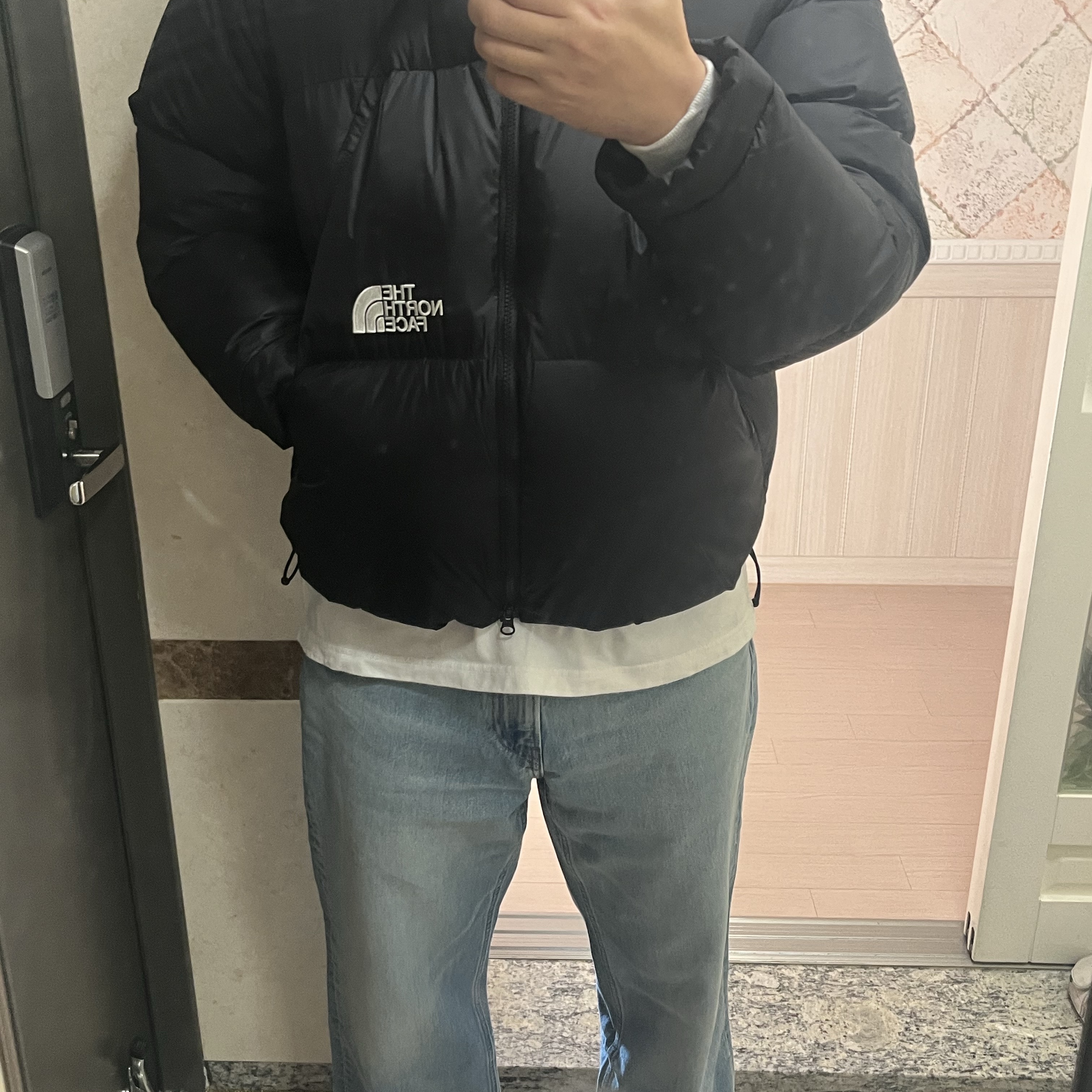 The North Face White Label Project Down Jacket RDS Black - 25FW 착용 스타일