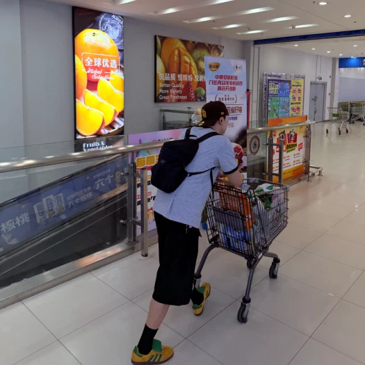 스타일 카드