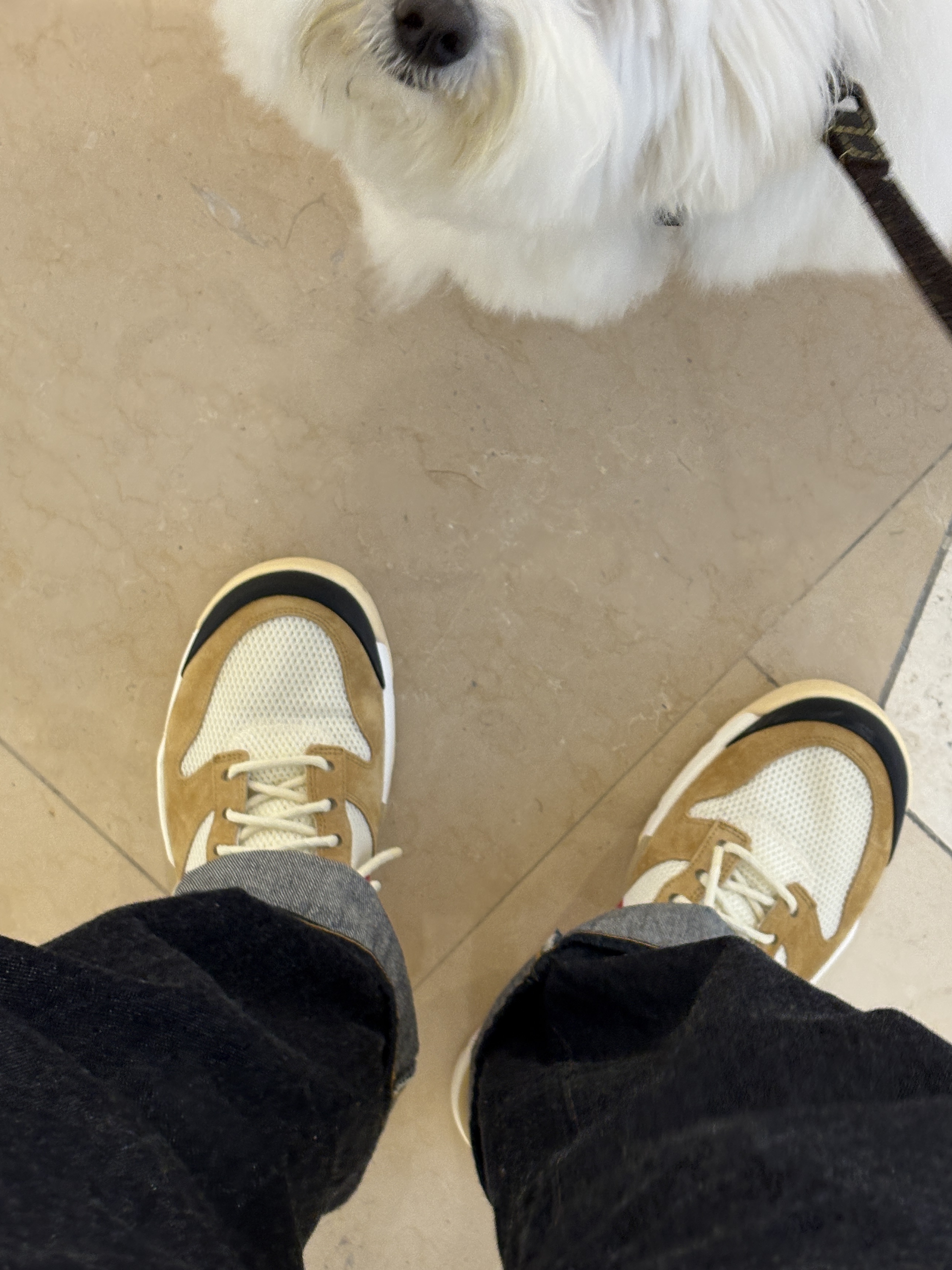 LVC 1955 501 Rigid Cotton Jean Dark Indigo, Nike x Tom Sachs Mars Yard Shoe 3.0 Space Camp 착용 스타일 - 4