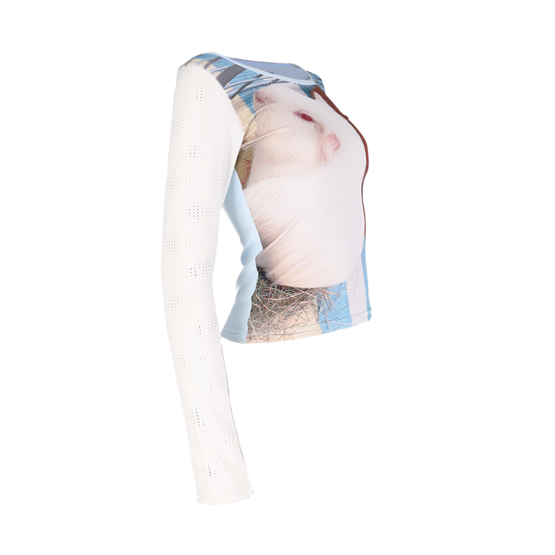 혼쿄 기니 피그 슬림 티셔츠(Honkyo Guinea pig slim T-shirt) - 2
