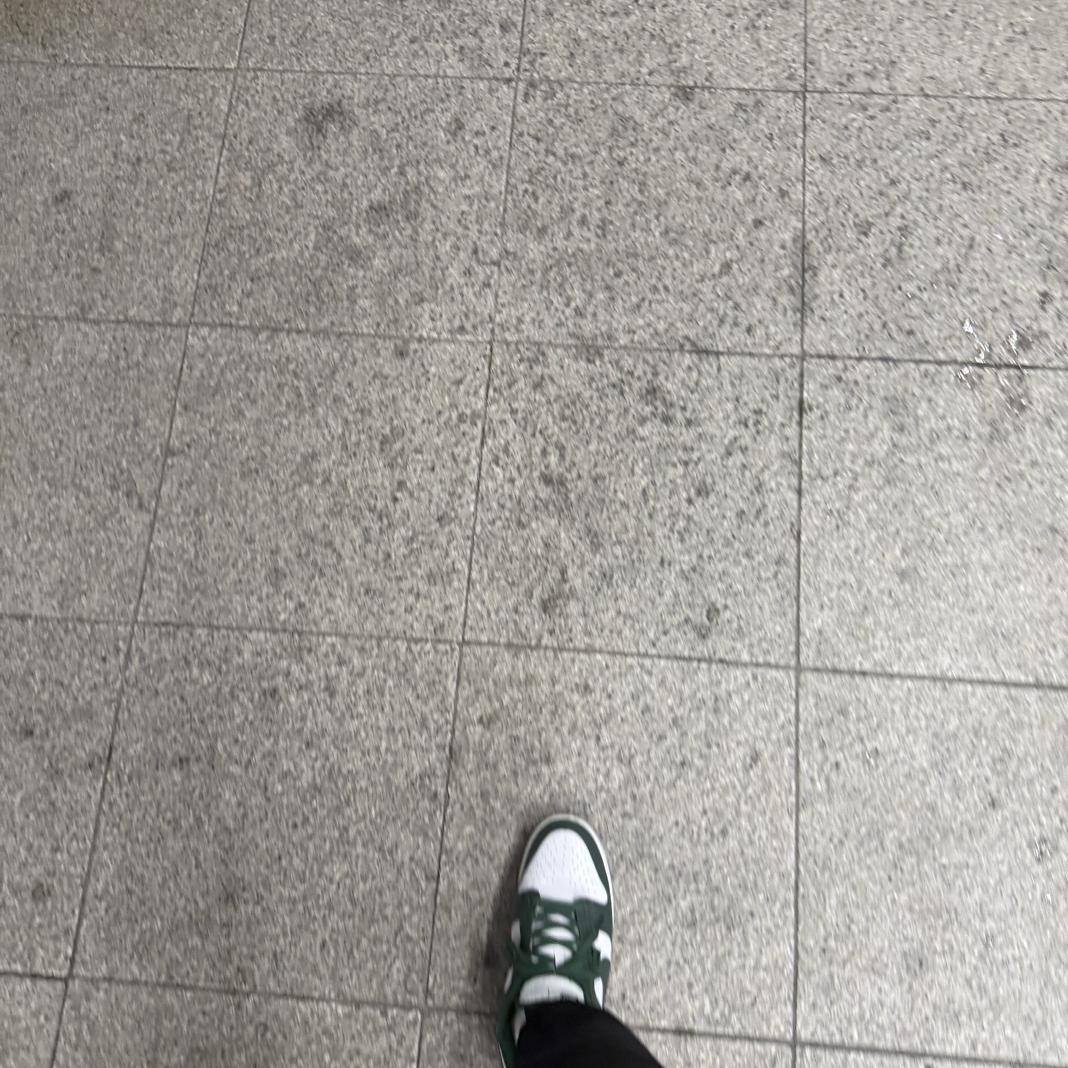 Nike Dunk Low Retro Varsity Green 착용 스타일