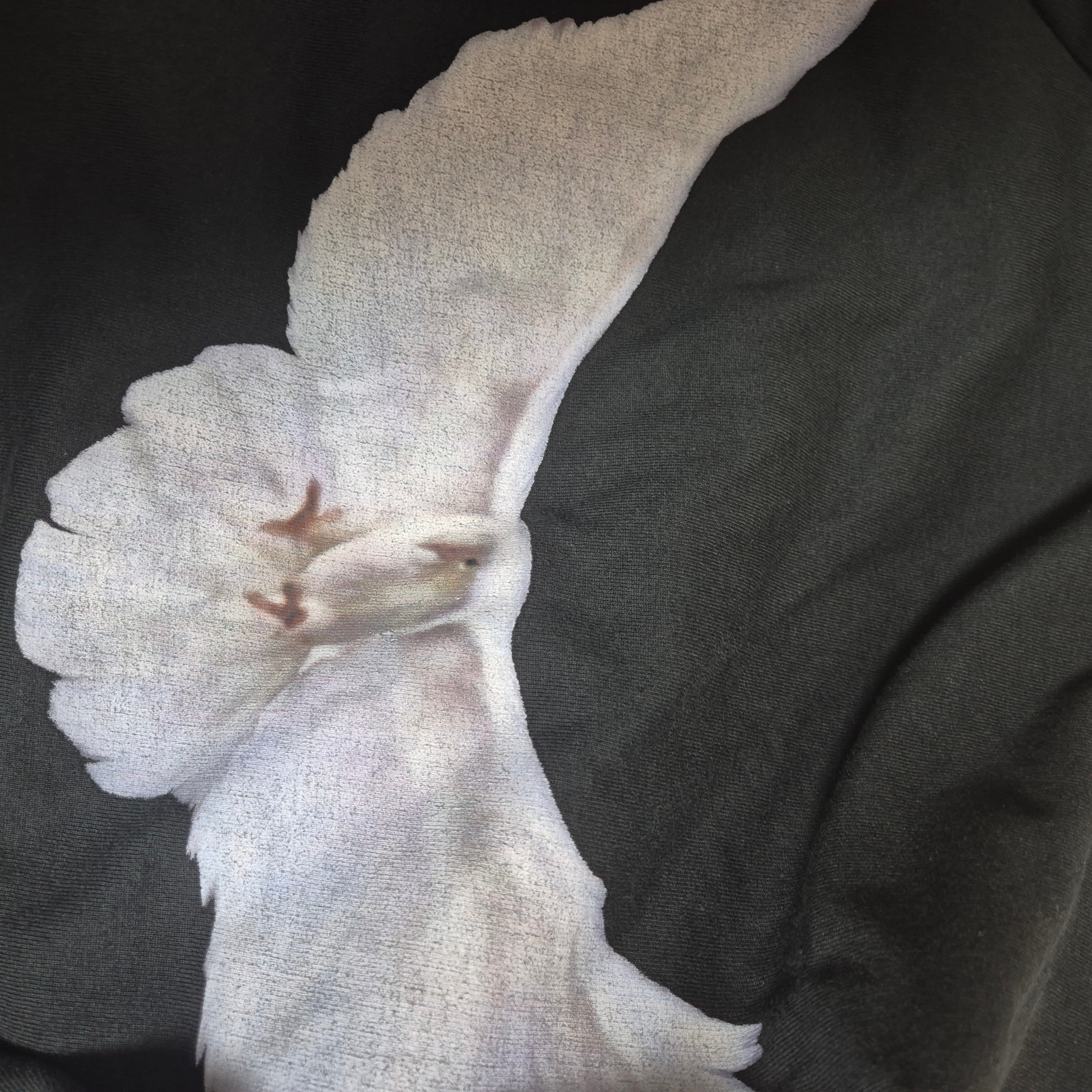 Yeezy Gap Engineered By Balenciaga Dove No Seam T-Shirt Black 착용 스타일