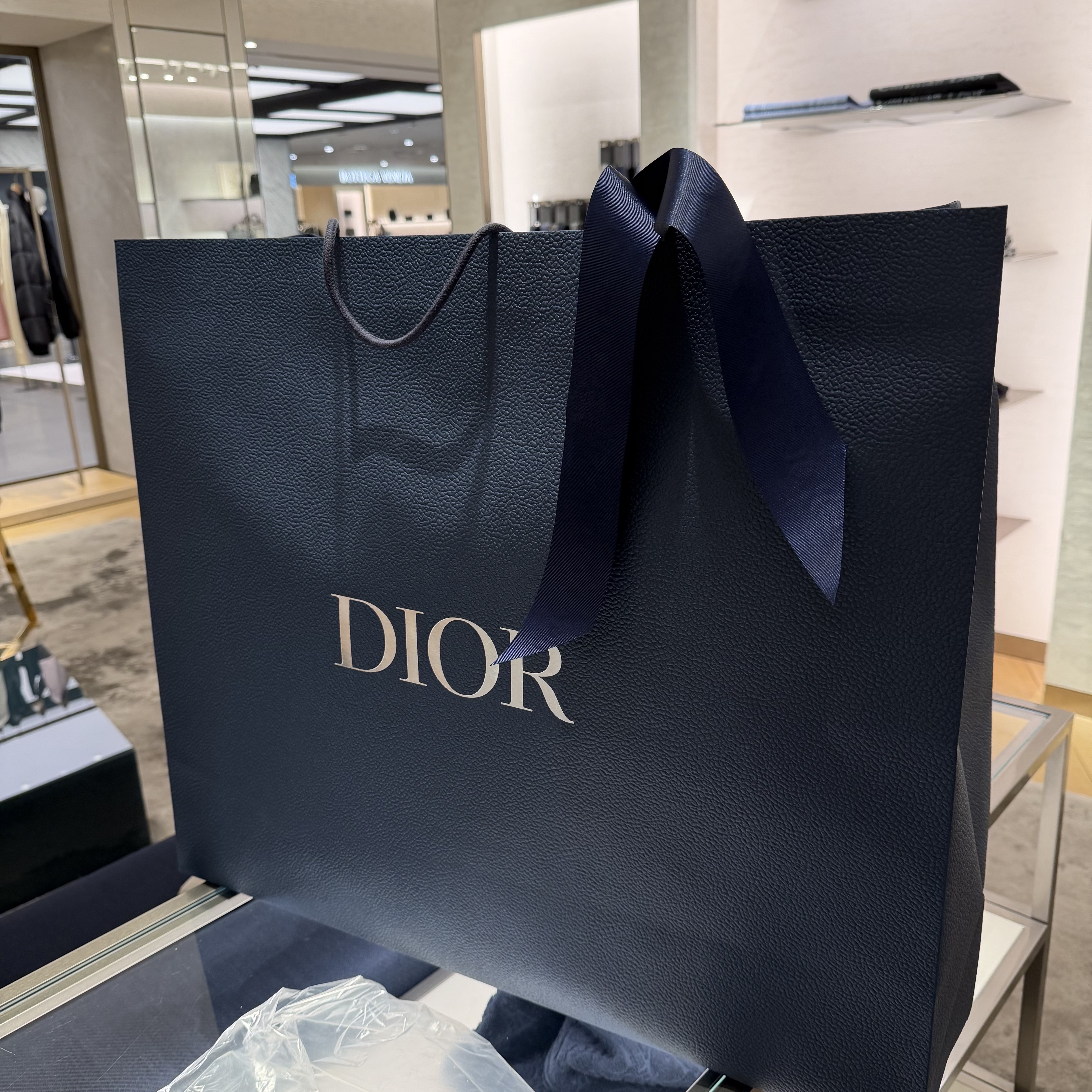 Dior Oblique Down Jacket Black Nylon Jacquard 착용 스타일 - 1