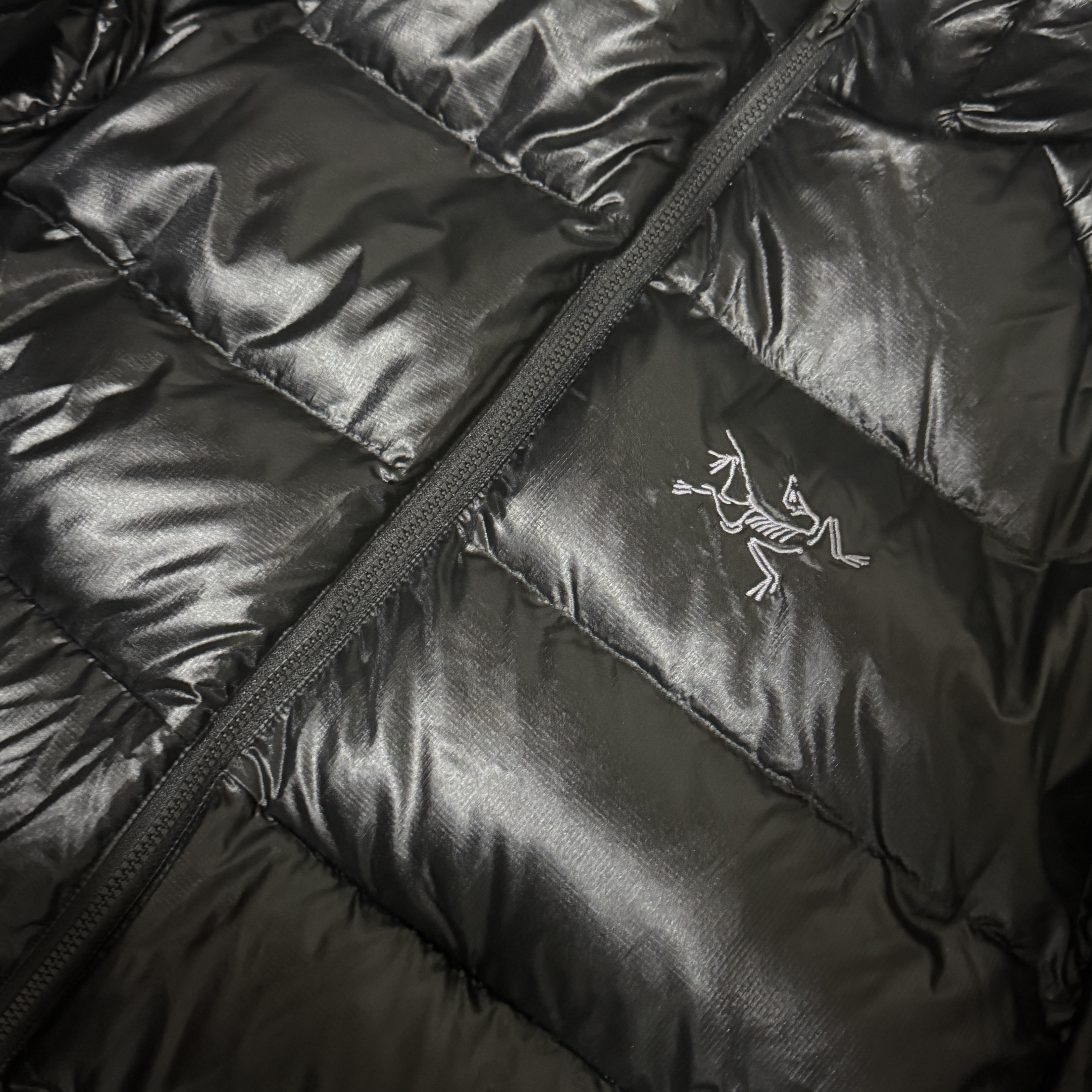 Arc'teryx Cerium SV Hoody Black 착용 스타일
