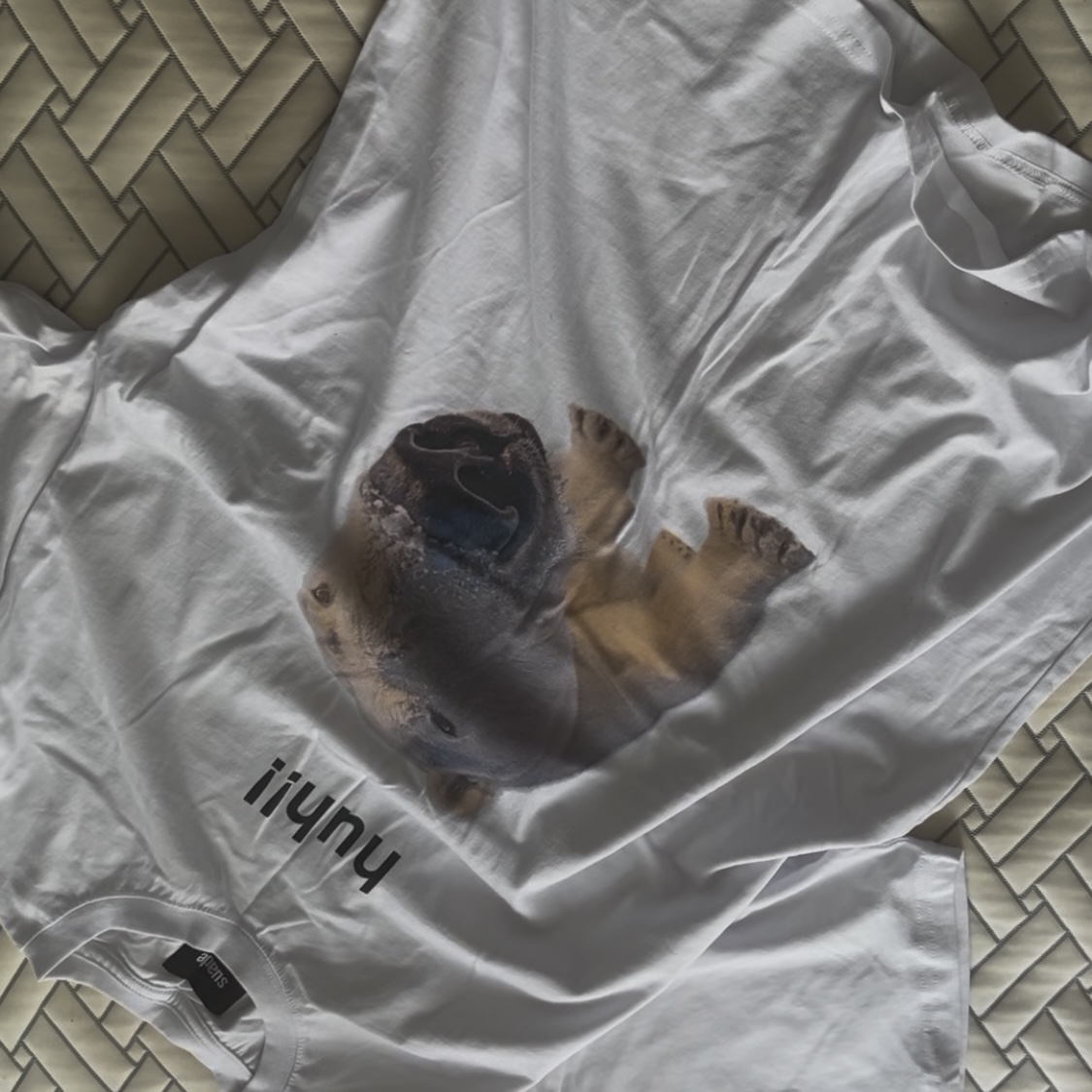 Suade Huh Tee White 착용 스타일