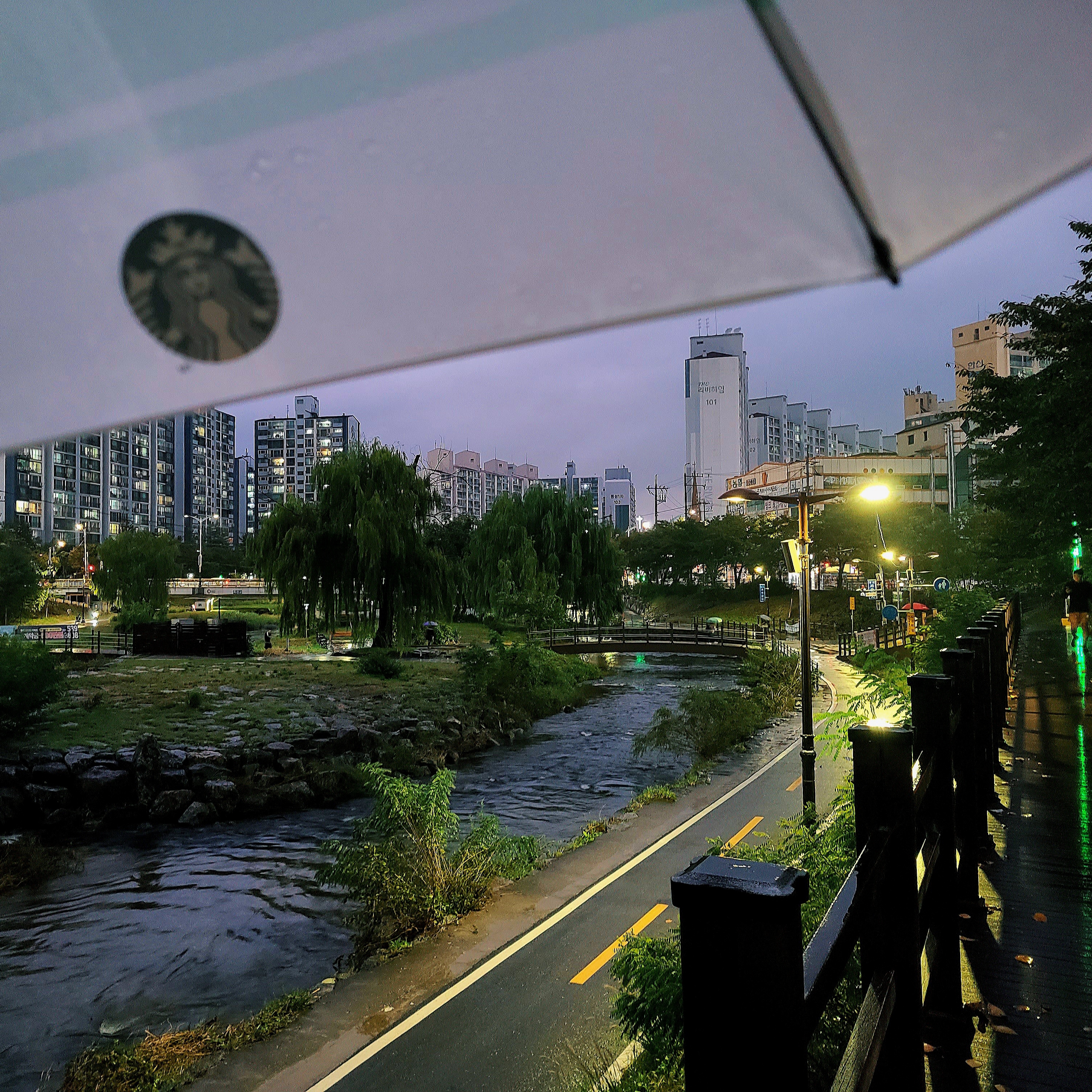Starbucks Daily 3 Step Umbrella Apple Mint 착용 스타일 - 1