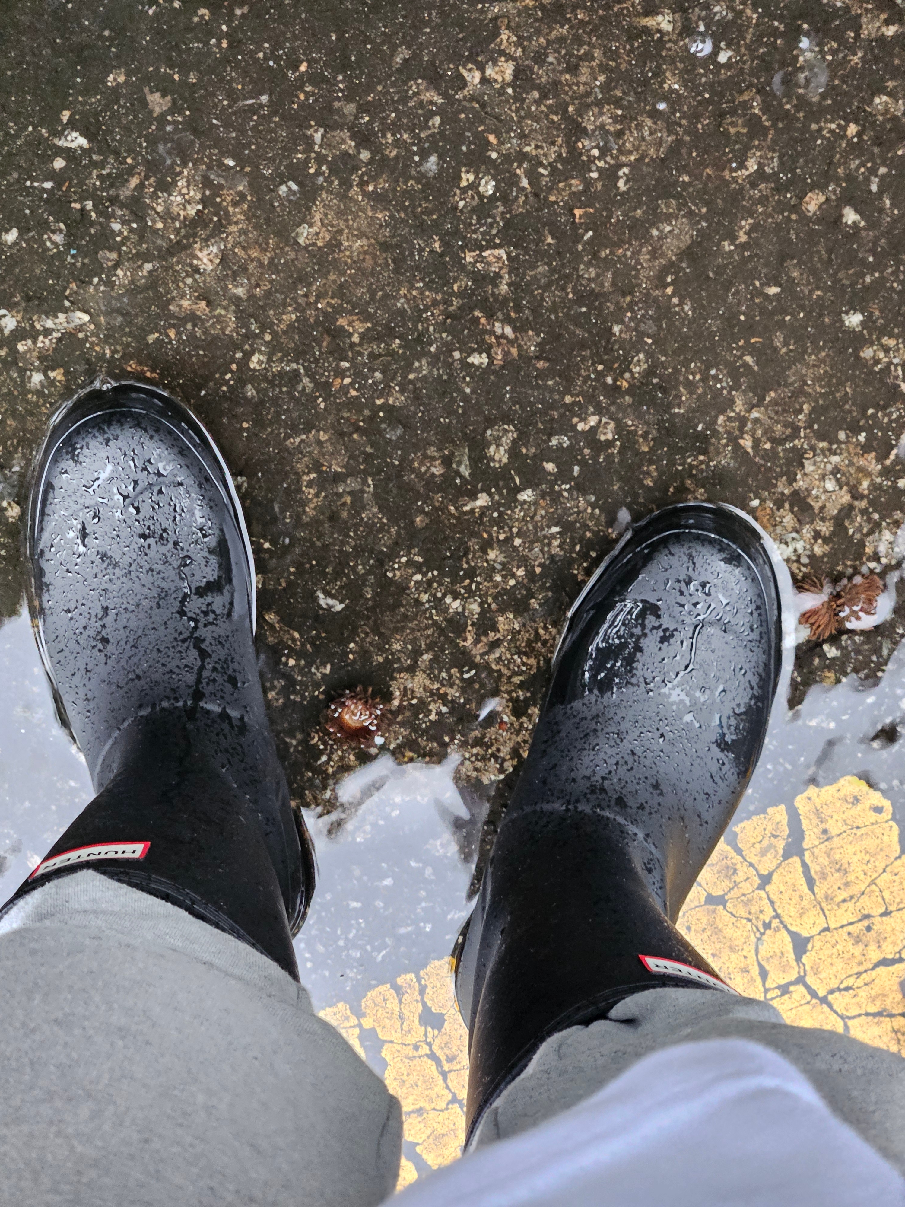 (W) Hunter Play Tall Wellington Rain Boots Black 착용 스타일 - 4