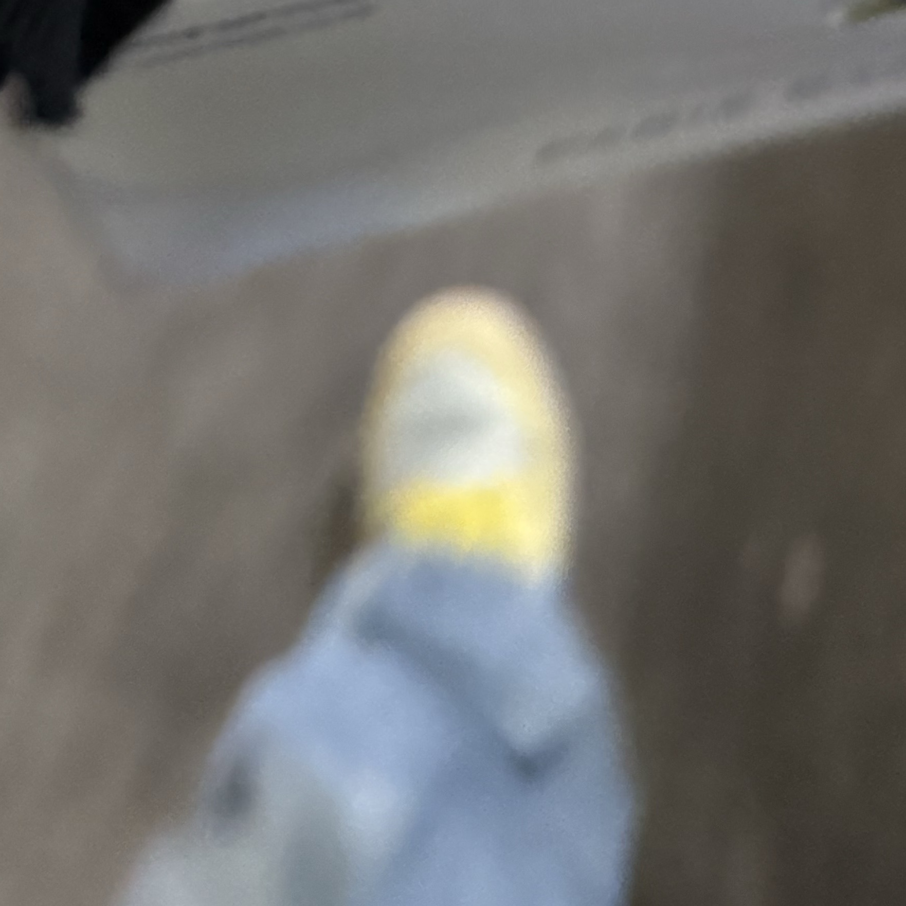해피님의 스타일