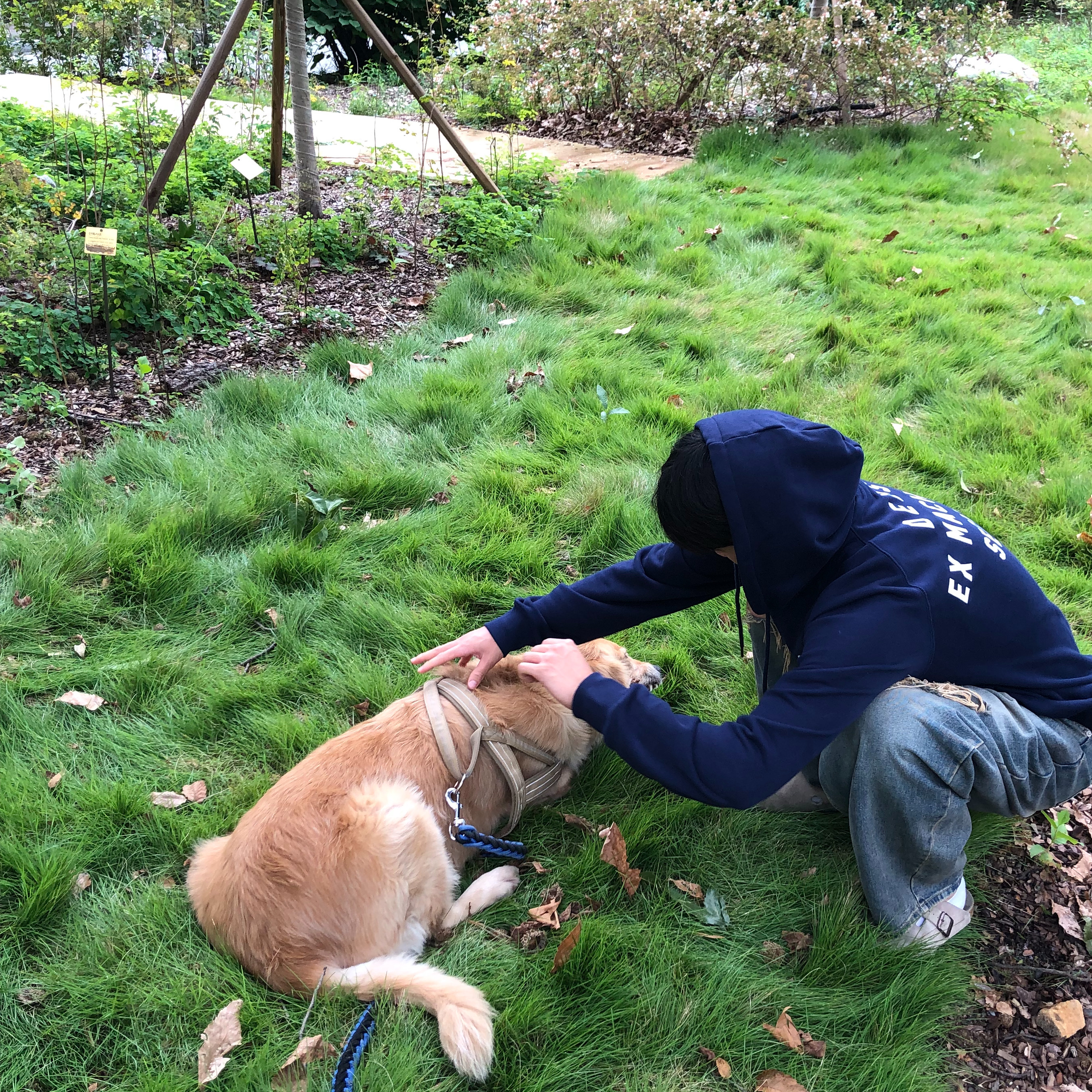 Deus Ex Machina Seoul College Address Hoodie Navy, Birkenstock Boston Soft Footbed Taupe - Regular 착용 스타일 - 1