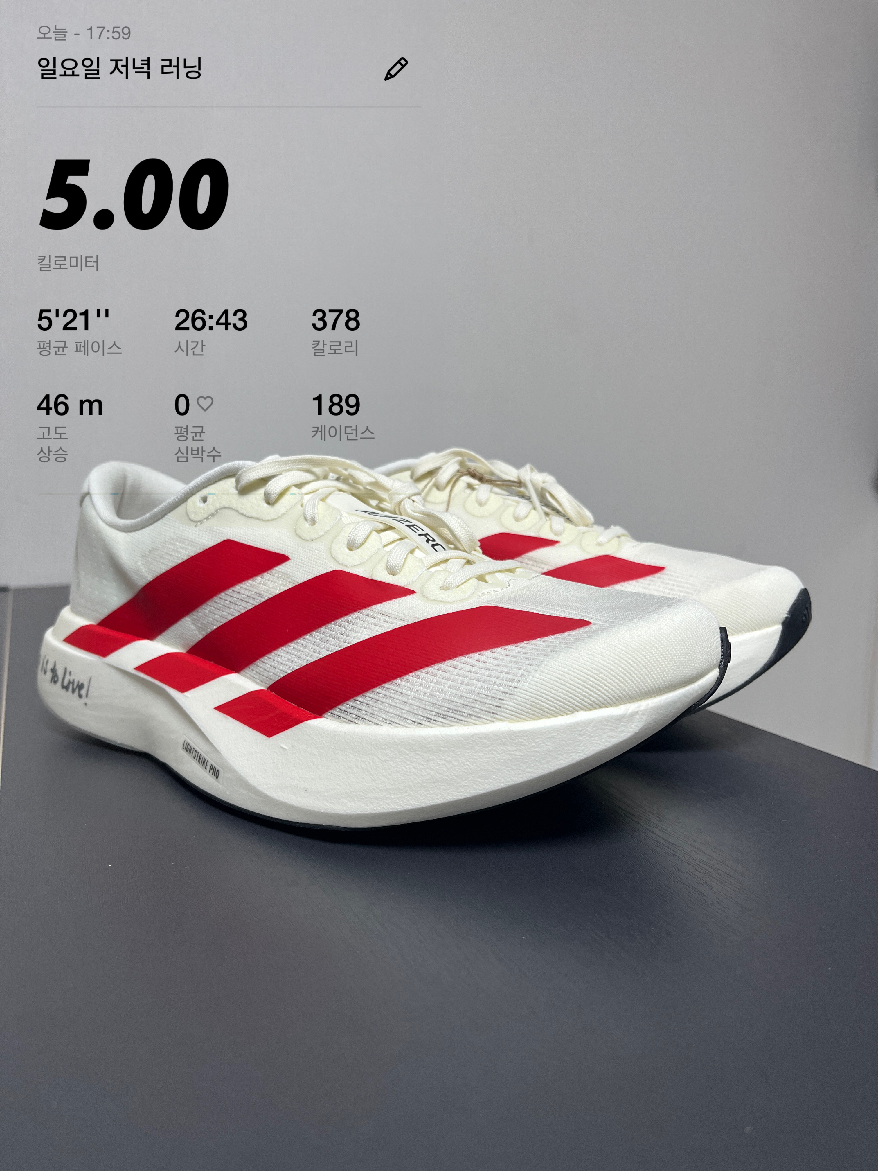 Adidas Adizero EVO SL Off White Better Scarlet 착용 스타일 - 3
