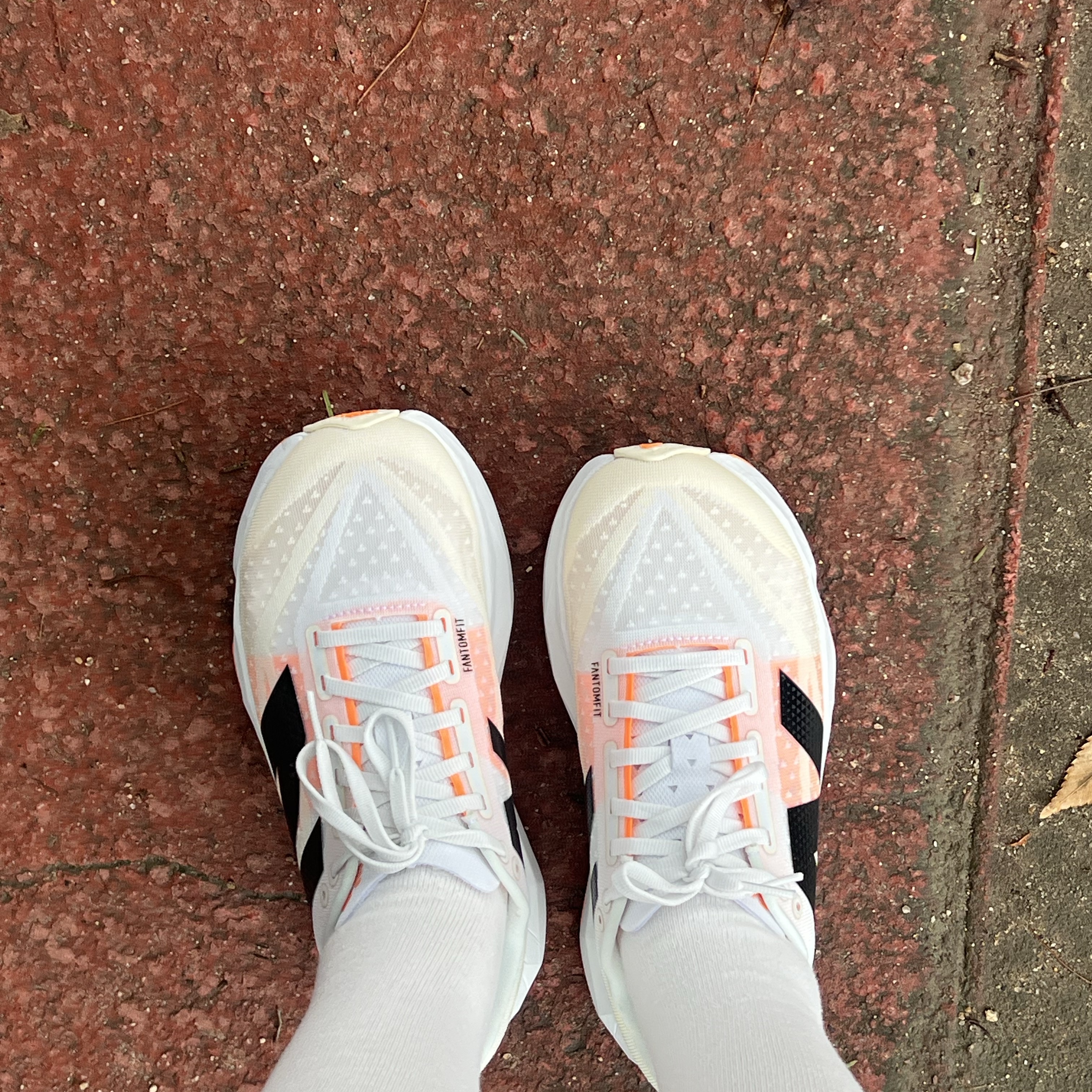 New Balance Fuelcell Rebel v4 Ivory - D Standard 착용 스타일