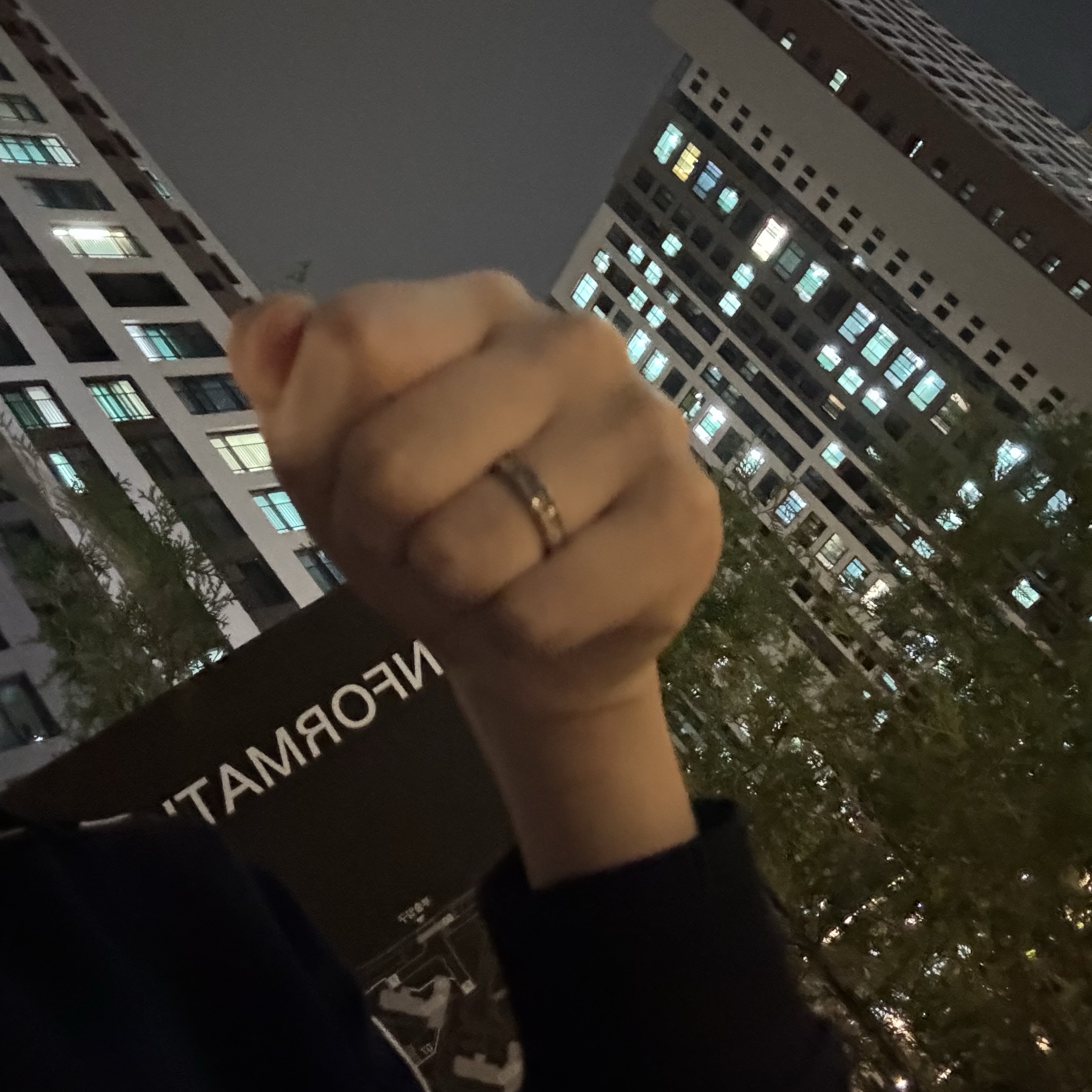 (W) Vivienne Westwood Westminster Ring 925 Rhodium 착용 스타일
