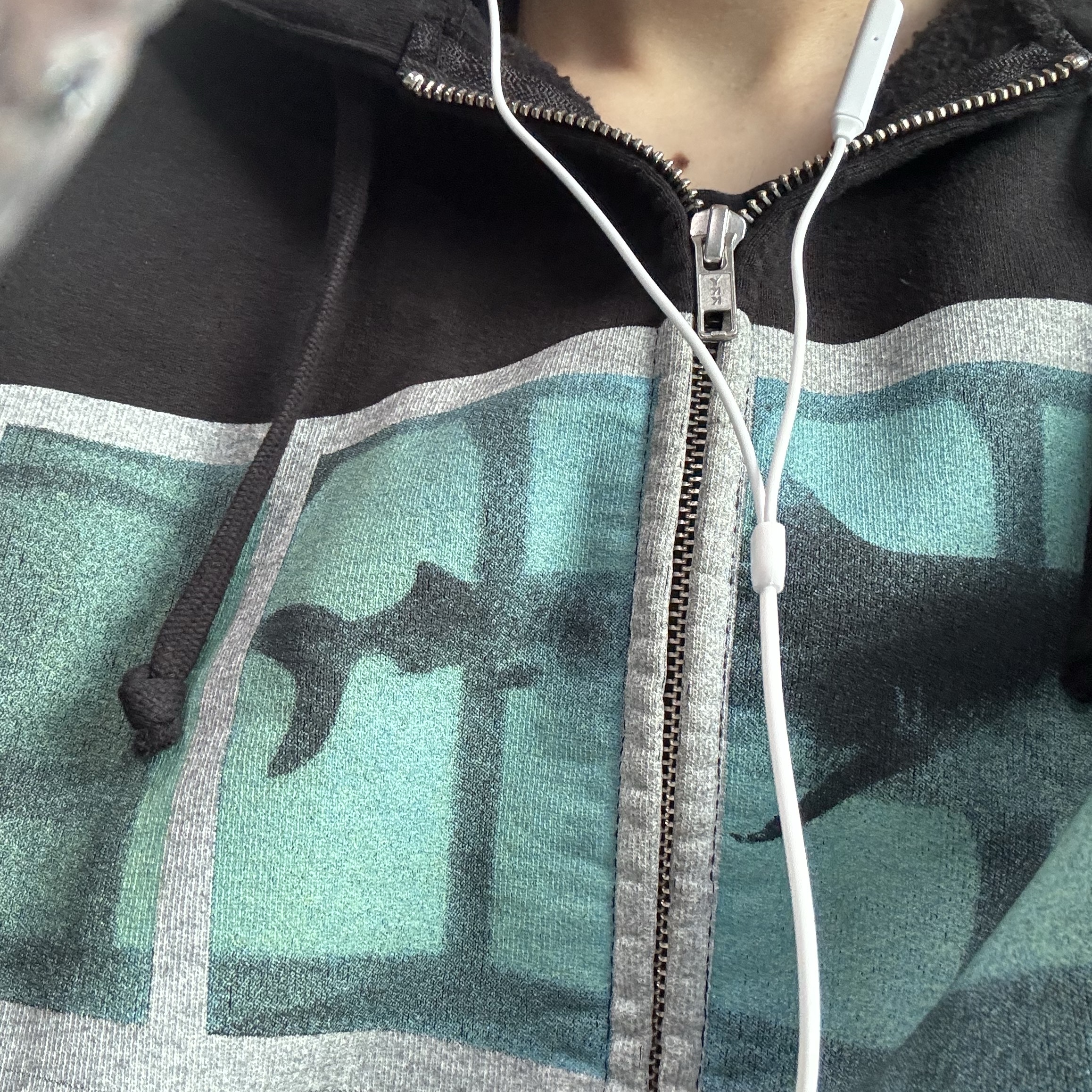 Supreme x Damien Hirst Zip Up Hooded Sweatshirt Black - 25SS 착용 스타일