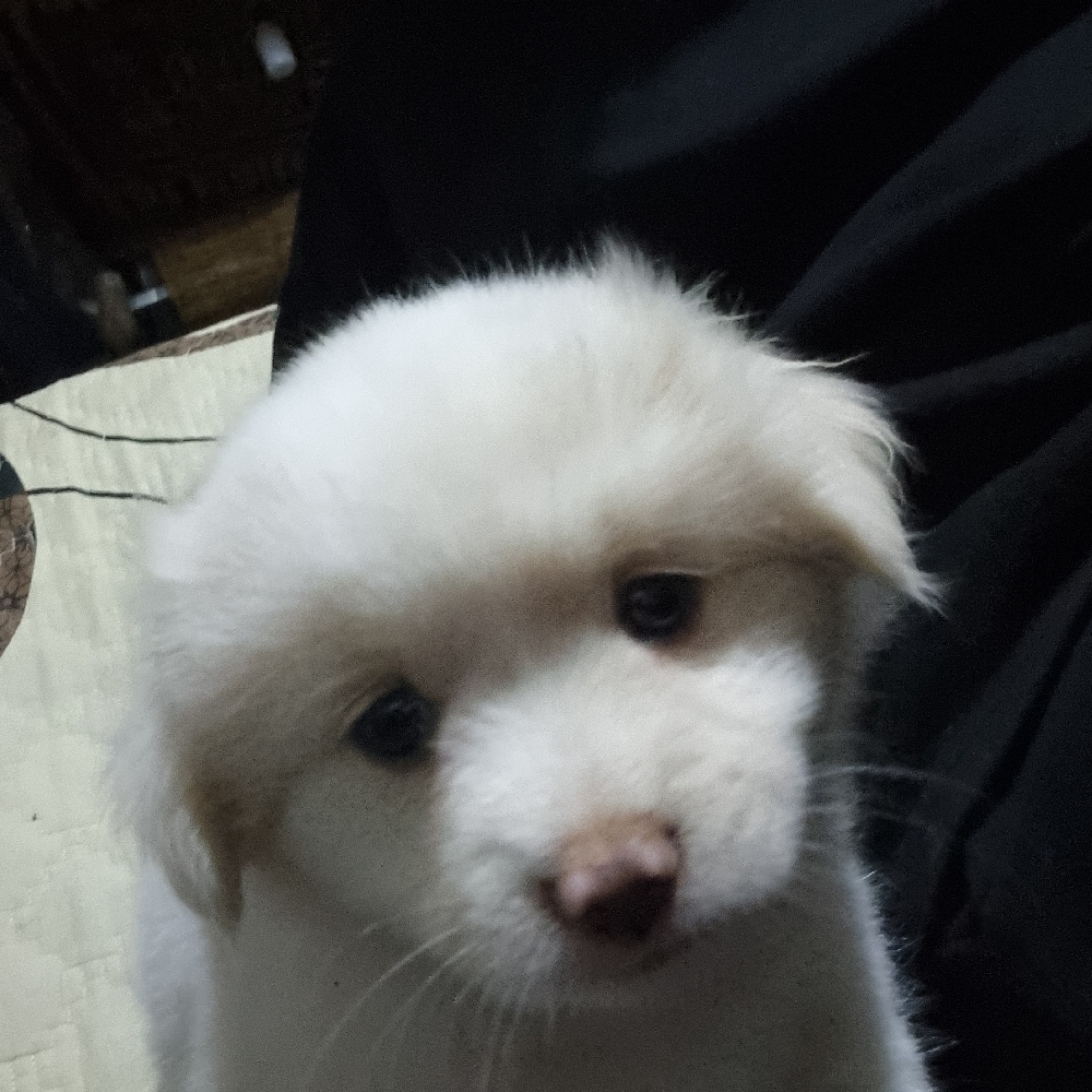 관심 유저 프로필 이미지