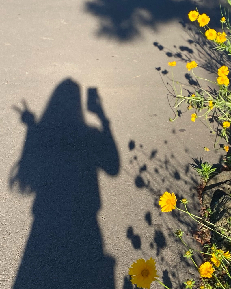 관심 유저 프로필 이미지