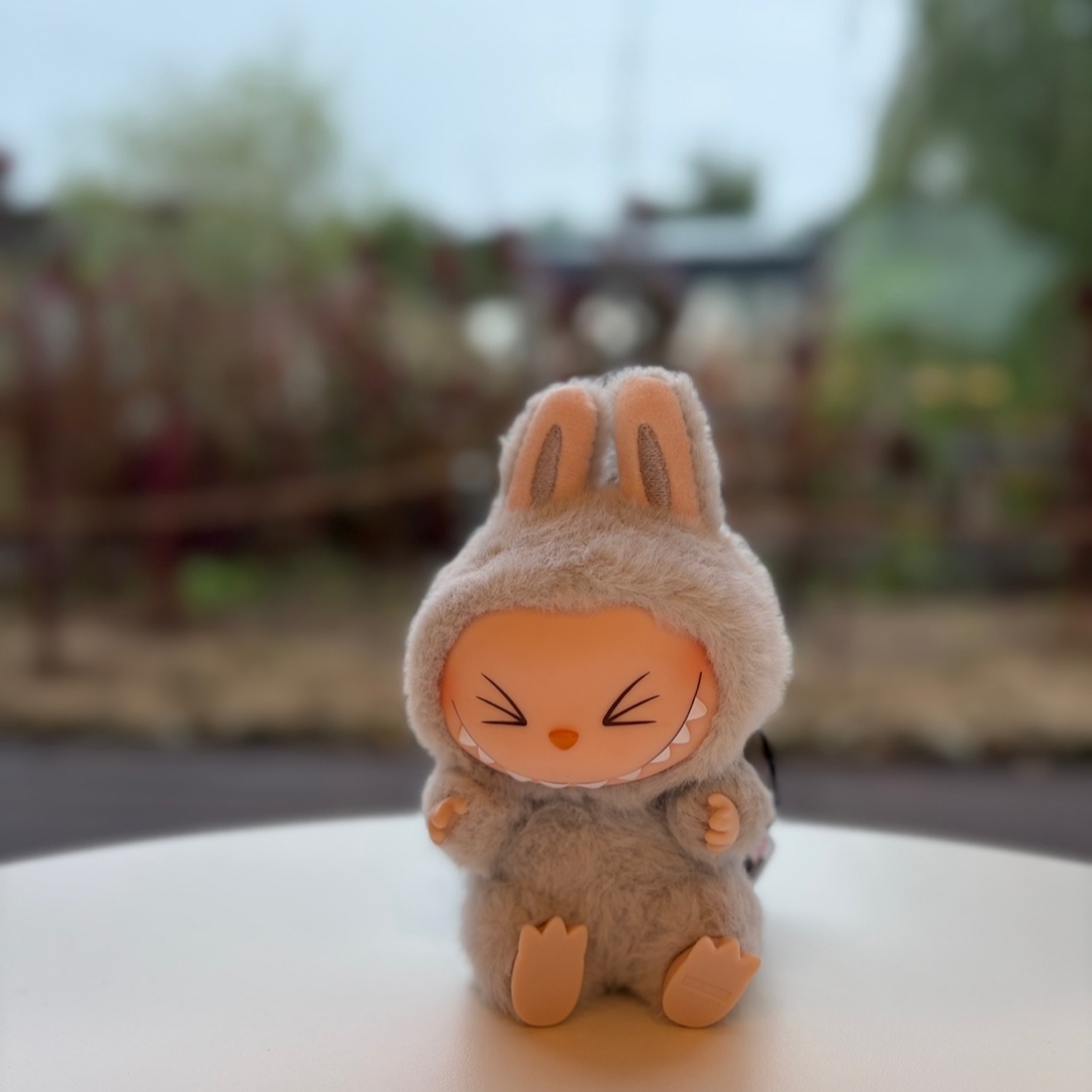 Pop Mart Labubu Let's Play Together Doll Series Hehe Keyring (Opened Case) 착용 스타일