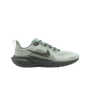 (W) Nike Pegasus 41 Mica Green Barely Green