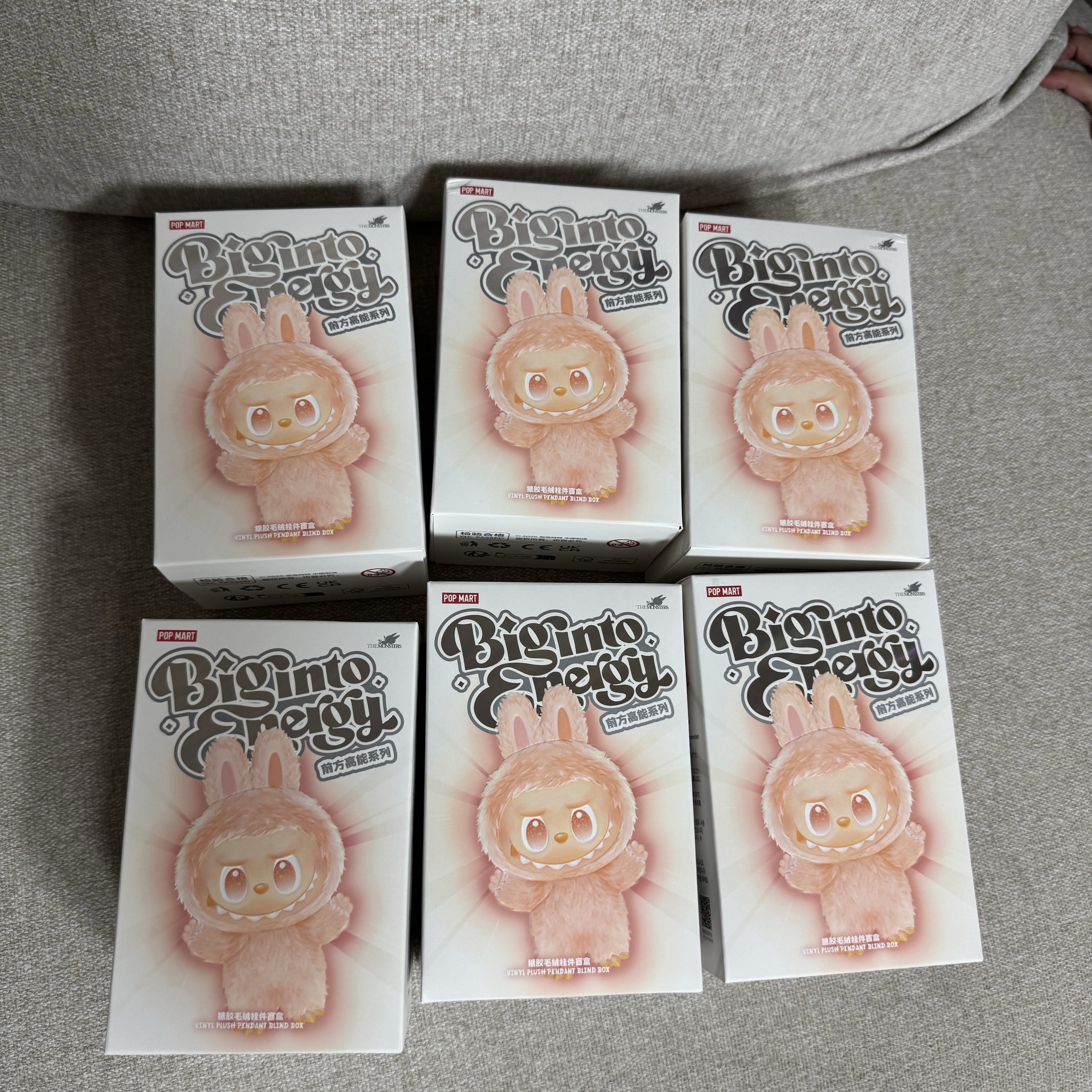 Pop Mart Labubu The Monsters Highlight Series Sealed Case (6 Blind Boxes) 착용 스타일