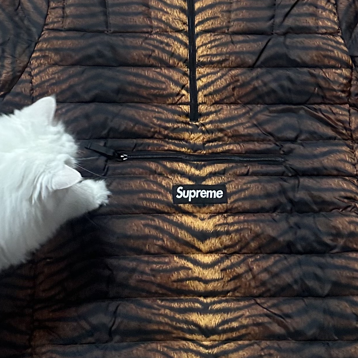 Supreme Micro Down Half Zip Hooded Pullover Tiger - 25FW 착용 스타일