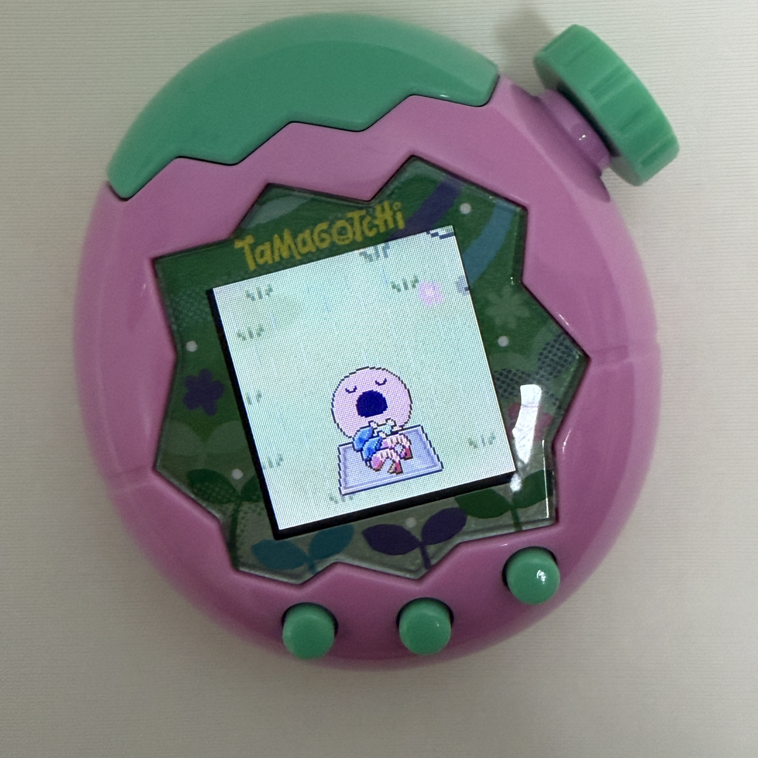 Tamagotchi Paradise Pink Land 착용 스타일 - 2