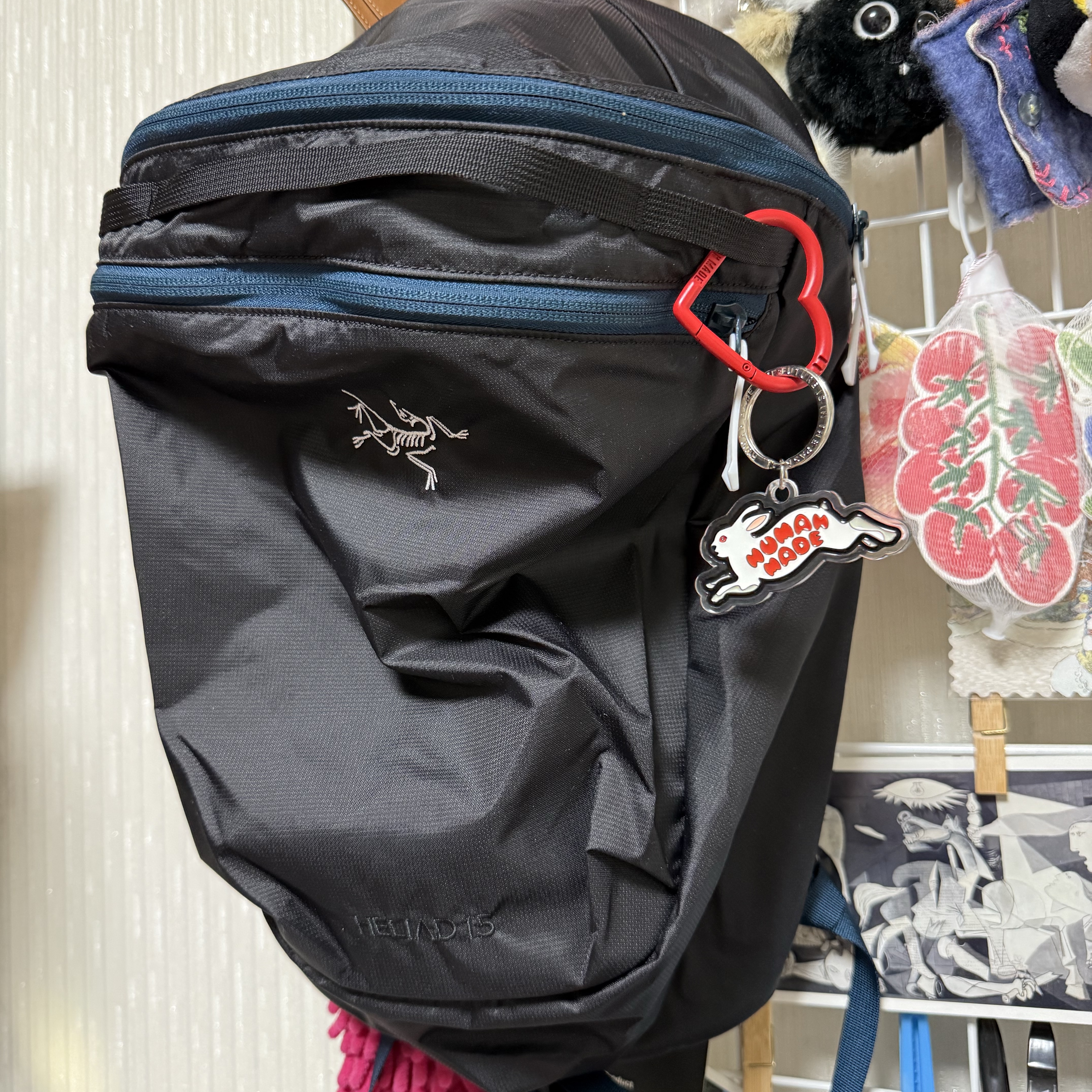 Arc'teryx Heliad 15 Backpack Lodestar, Human Made Heart Carabiner Red 착용 스타일