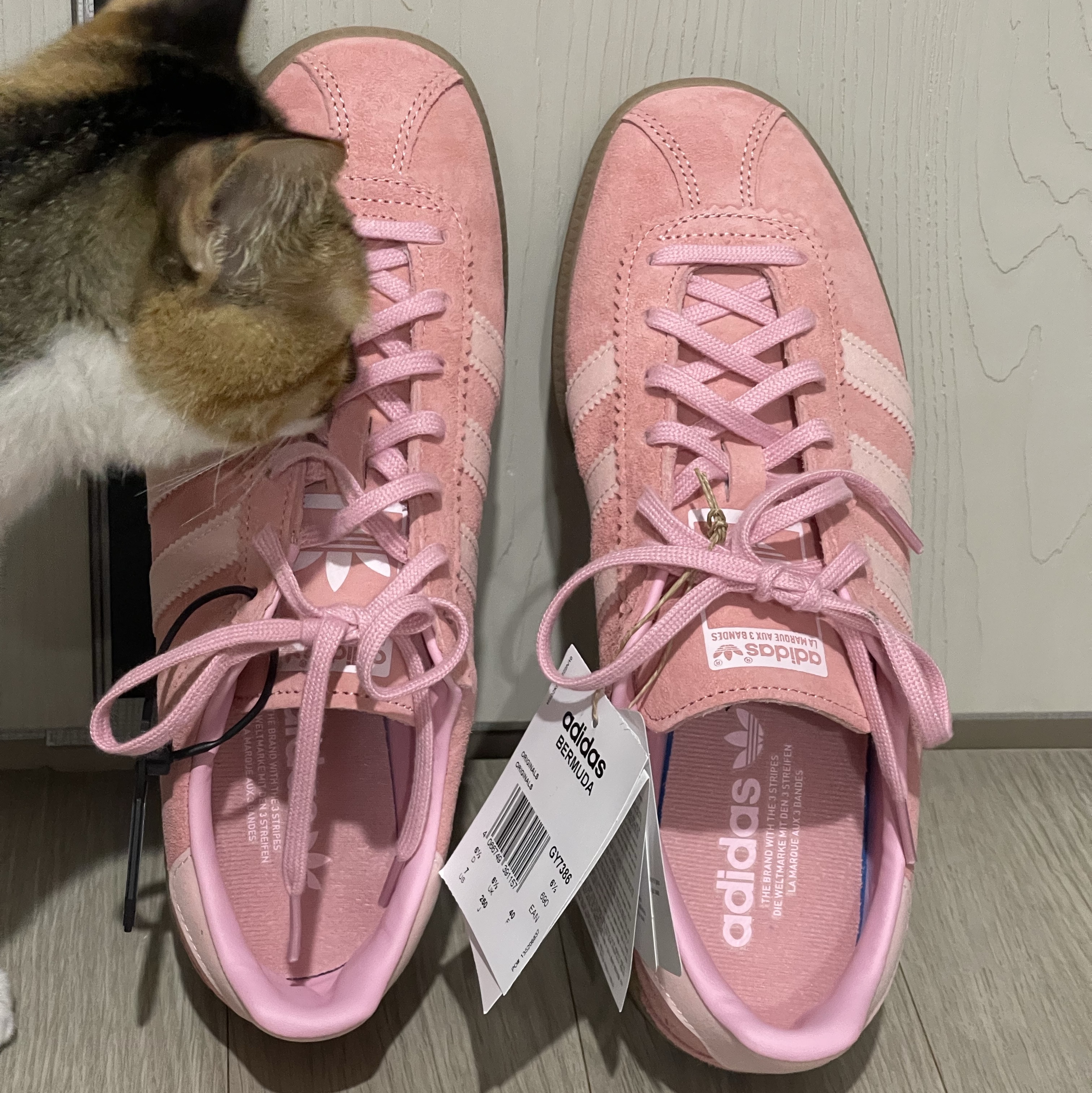 Adidas Bermuda Glow Pink 착용 스타일 - 2