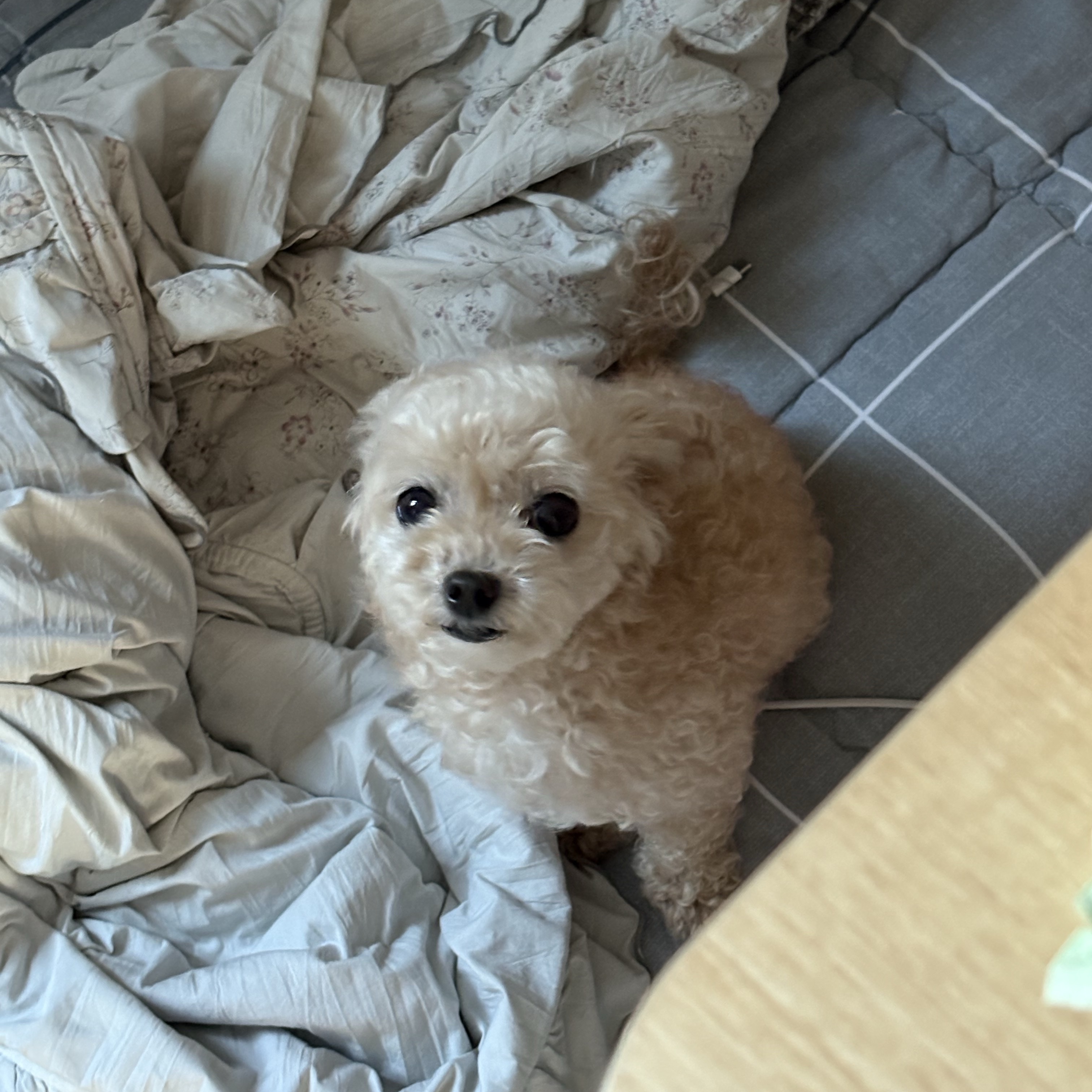 이정우님의 스타일